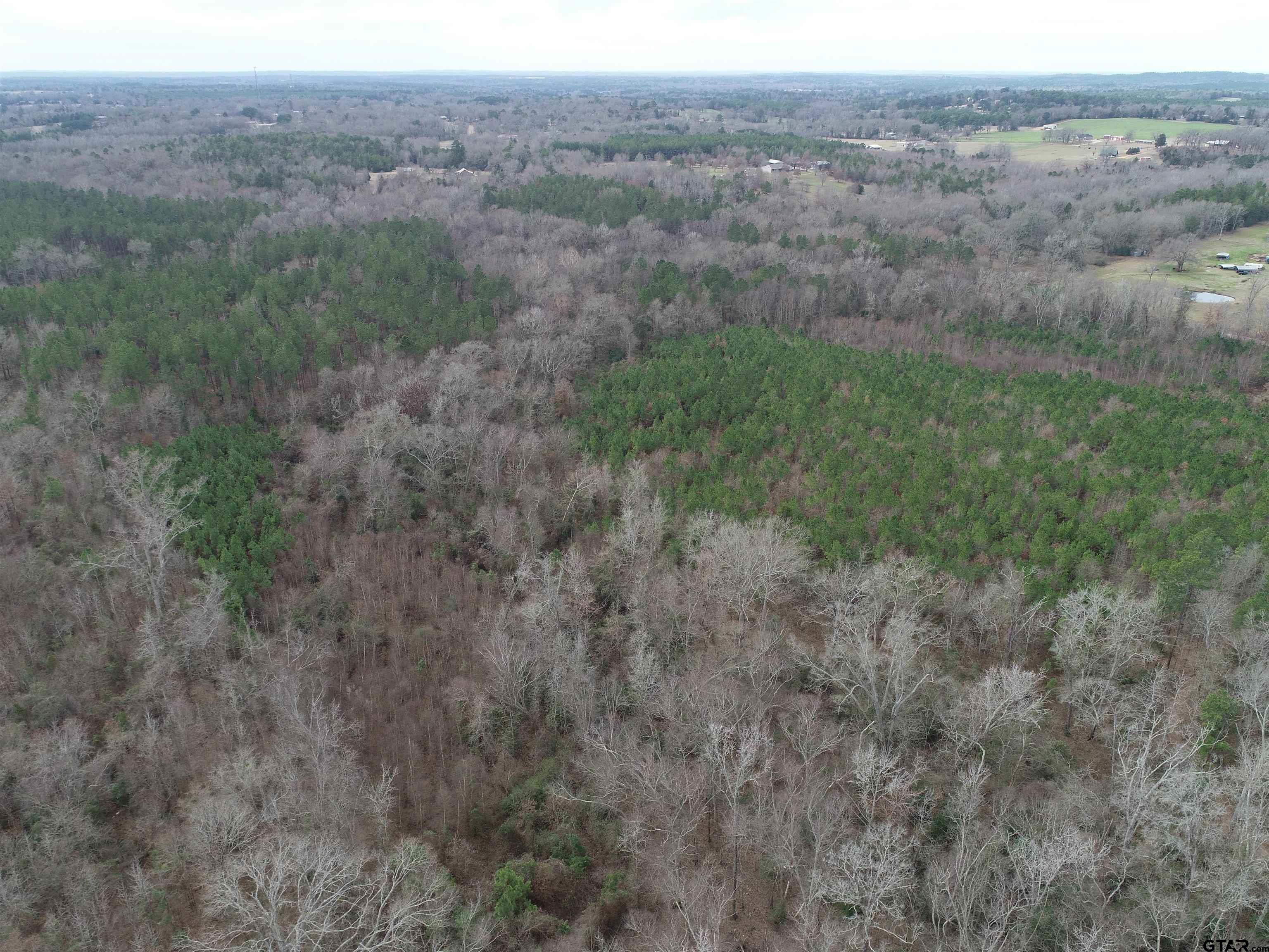 4557 Elderberry Road Gilmer, TX 75644 - Photo 14 of 38