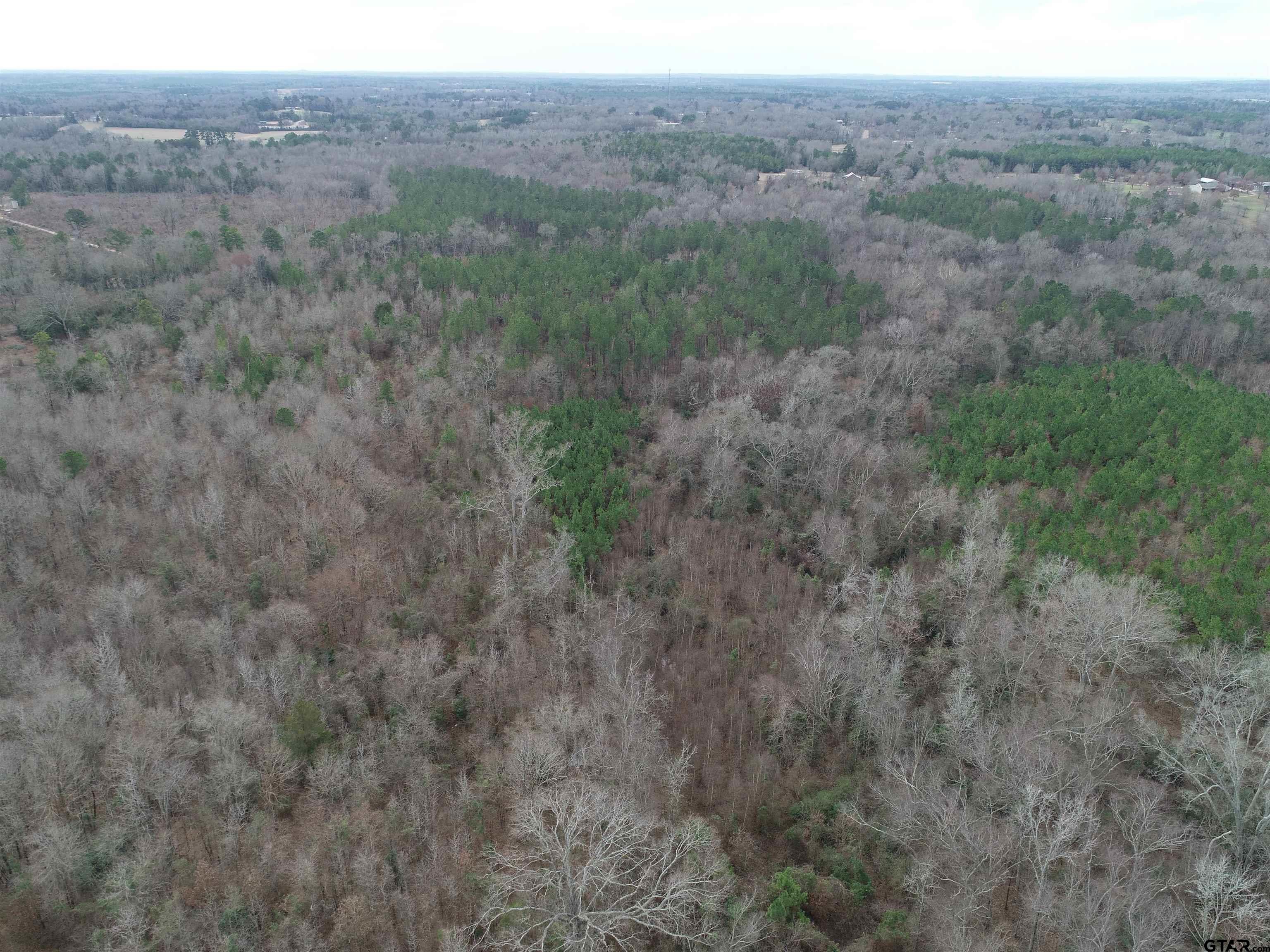 4557 Elderberry Road Gilmer, TX 75644 - Photo 15 of 38