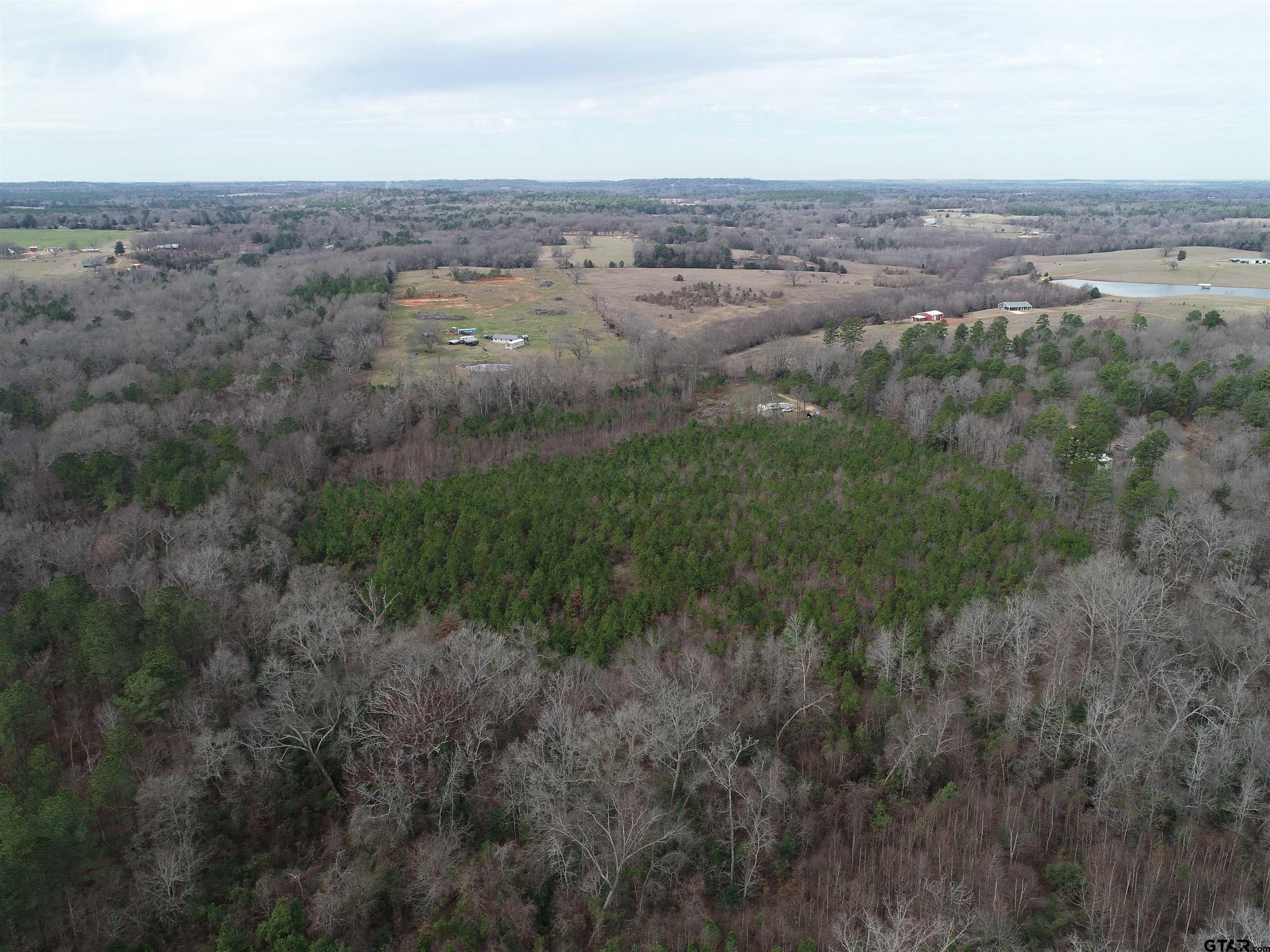 4557 Elderberry Road Gilmer, TX 75644 - Photo 16 of 38