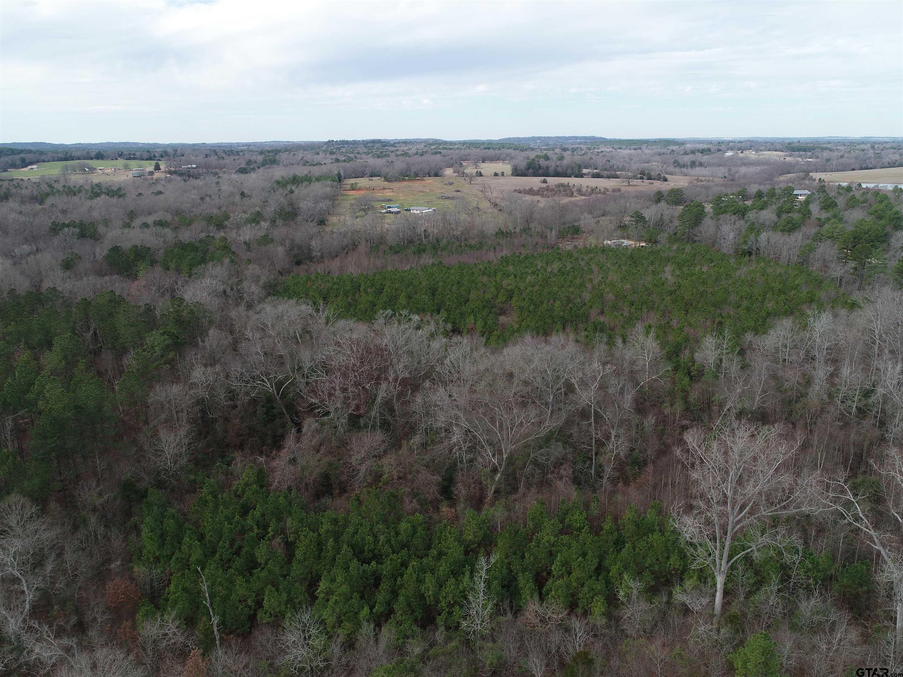 4557 Elderberry Road Gilmer, TX 75644 - Photo 17 of 38