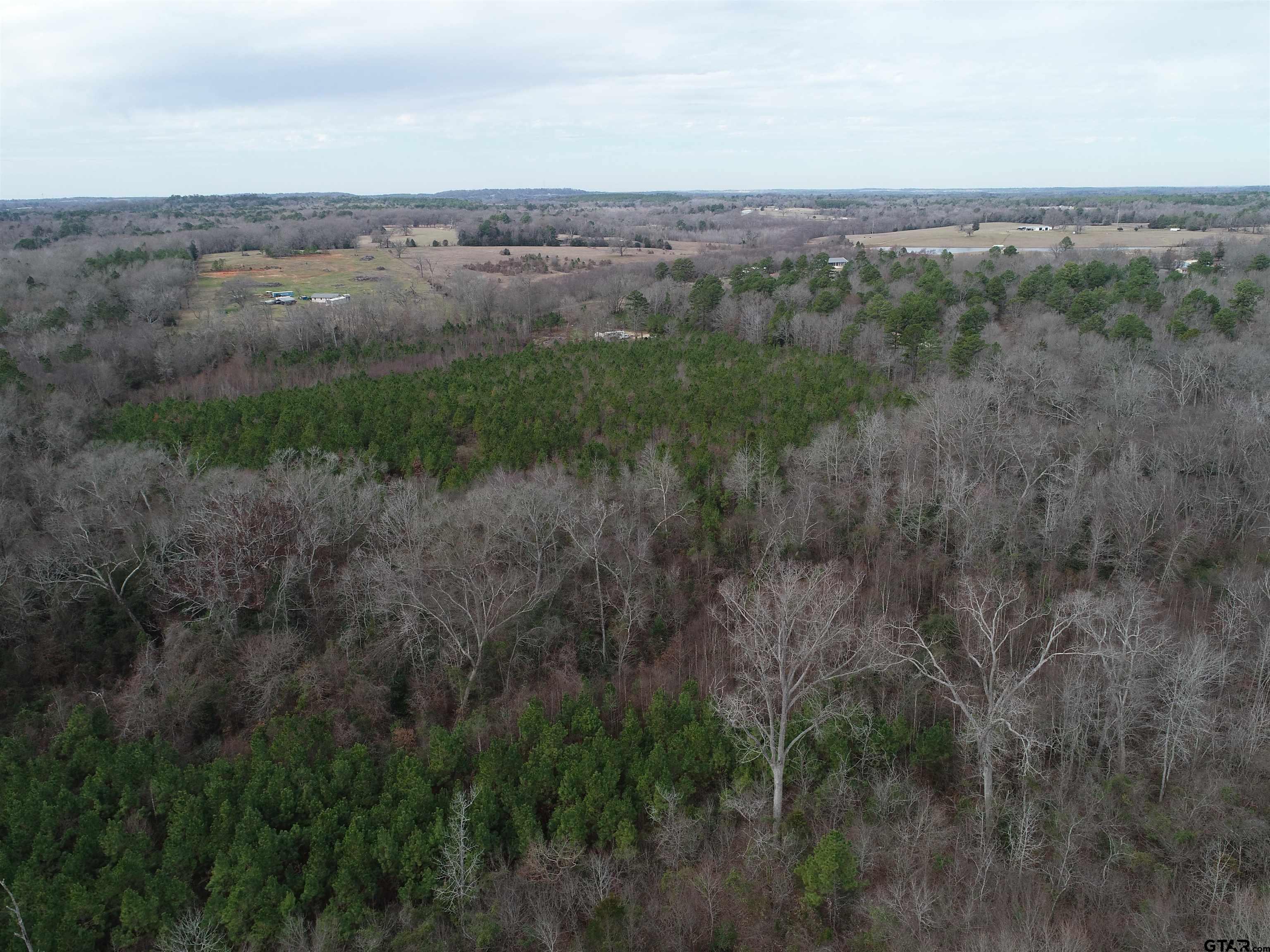 4557 Elderberry Road Gilmer, TX 75644 - Photo 18 of 38