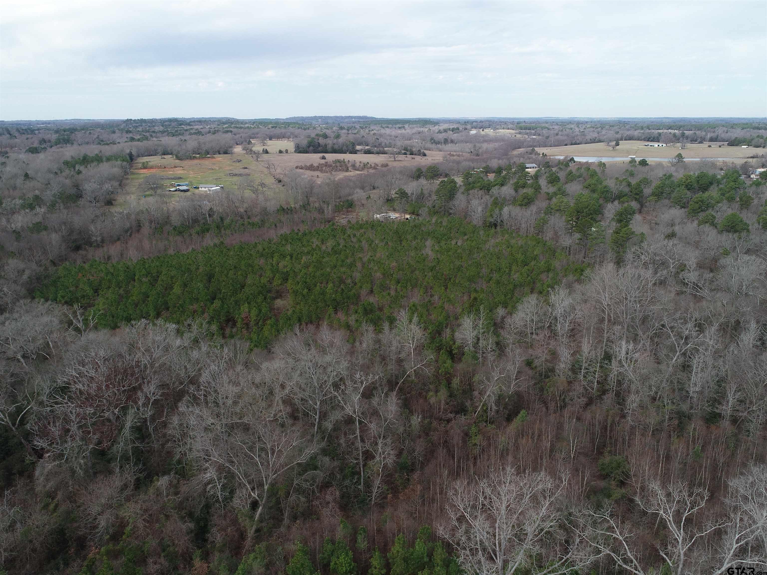 4557 Elderberry Road Gilmer, TX 75644 - Photo 19 of 38