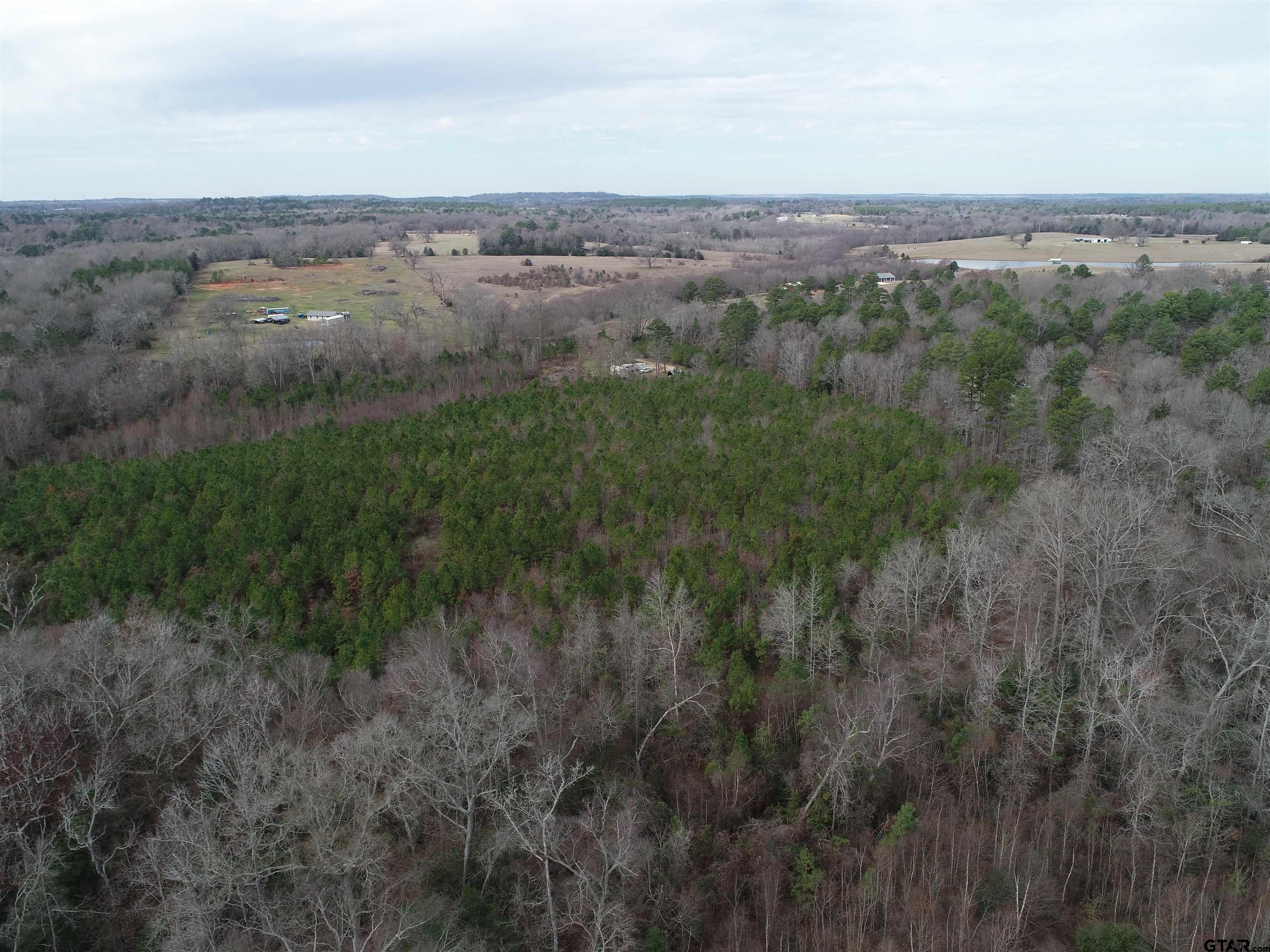 4557 Elderberry Road Gilmer, TX 75644 - Photo 20 of 38