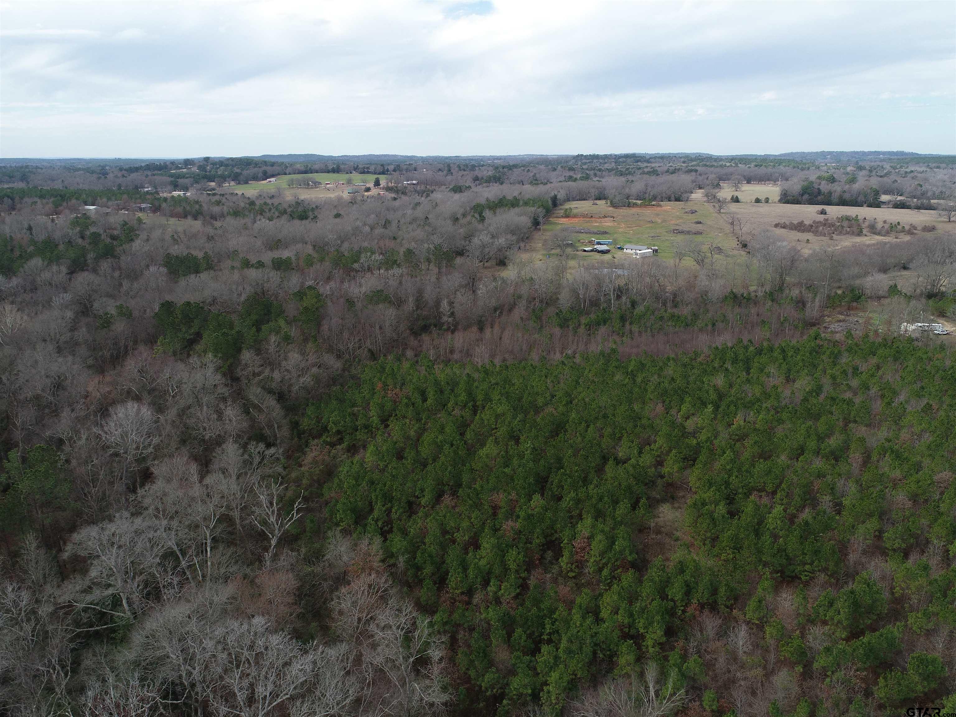 4557 Elderberry Road Gilmer, TX 75644 - Photo 22 of 38