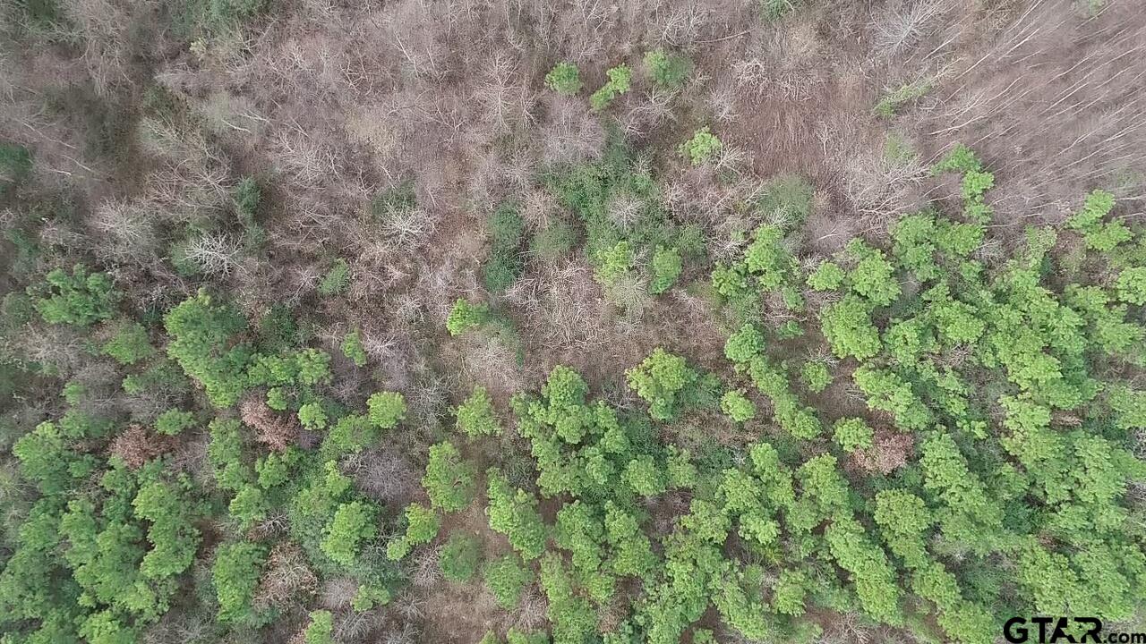 4557 Elderberry Road Gilmer, TX 75644 - Photo 24 of 38