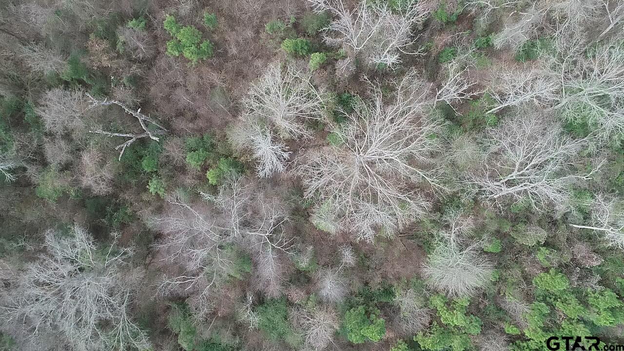 4557 Elderberry Road Gilmer, TX 75644 - Photo 25 of 38