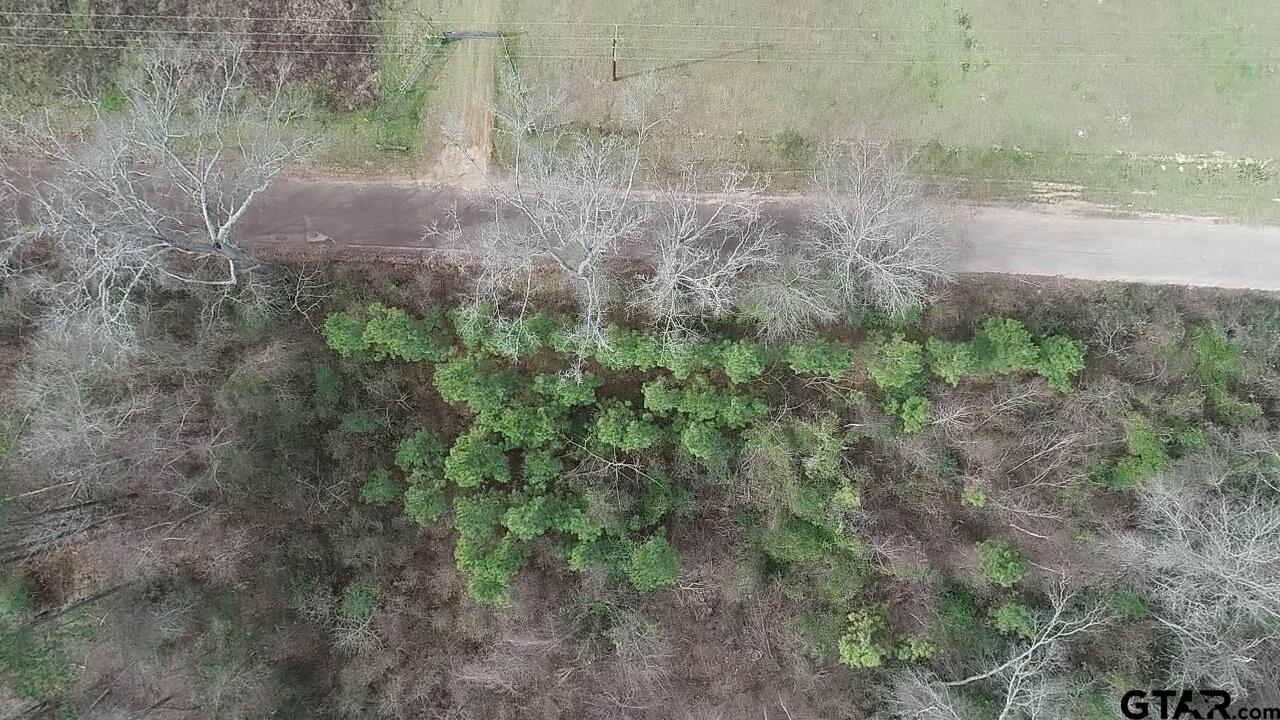 4557 Elderberry Road Gilmer, TX 75644 - Photo 26 of 38