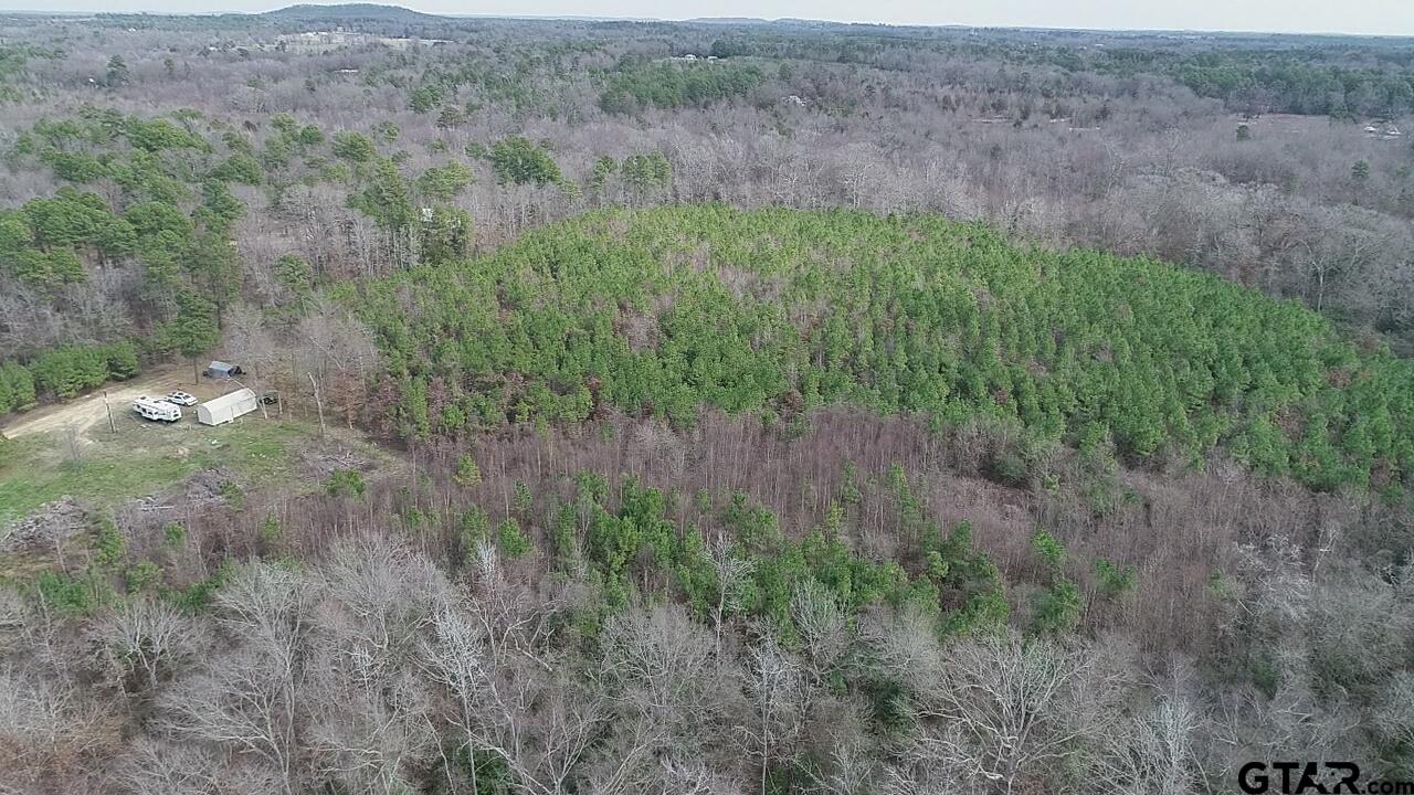 4557 Elderberry Road Gilmer, TX 75644 - Photo 27 of 38