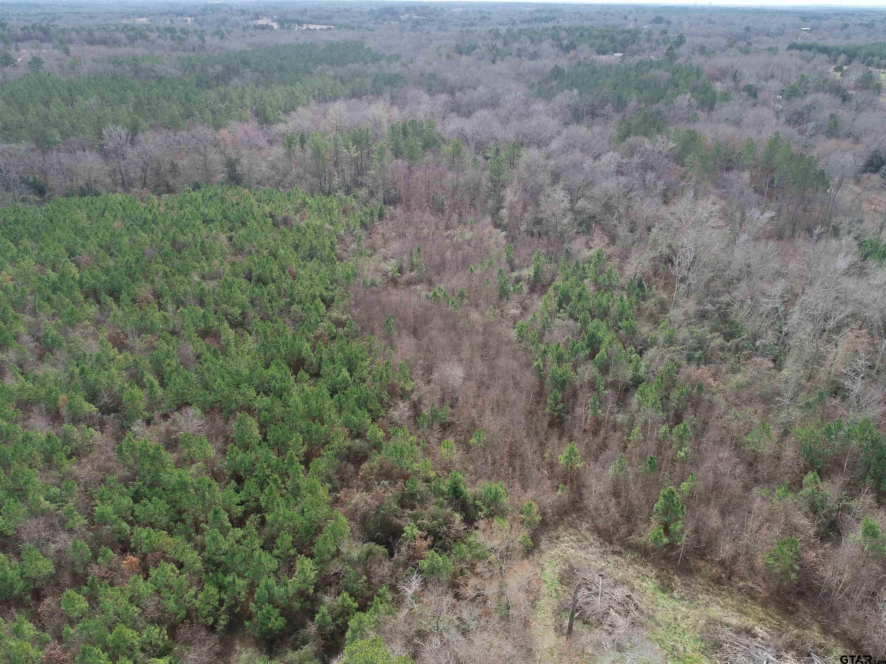 4557 Elderberry Road Gilmer, TX 75644 - Photo 34 of 38