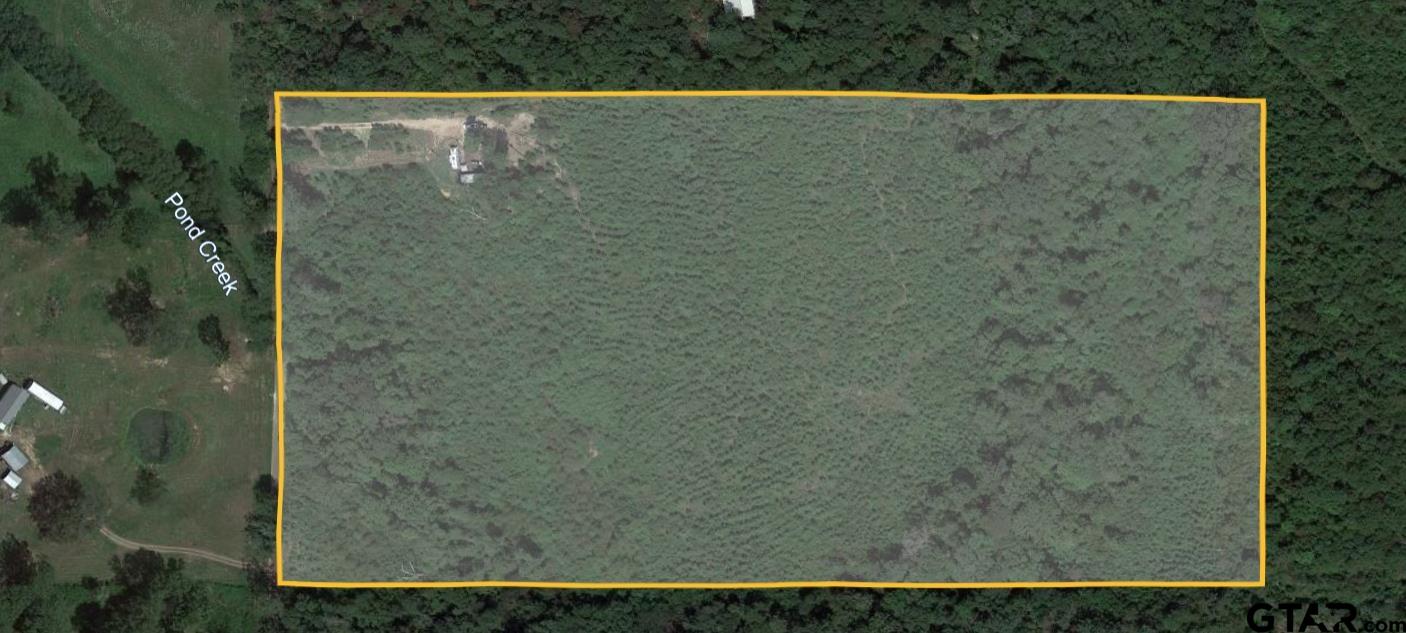 4557 Elderberry Road Gilmer, TX 75644 - Photo 4 of 38