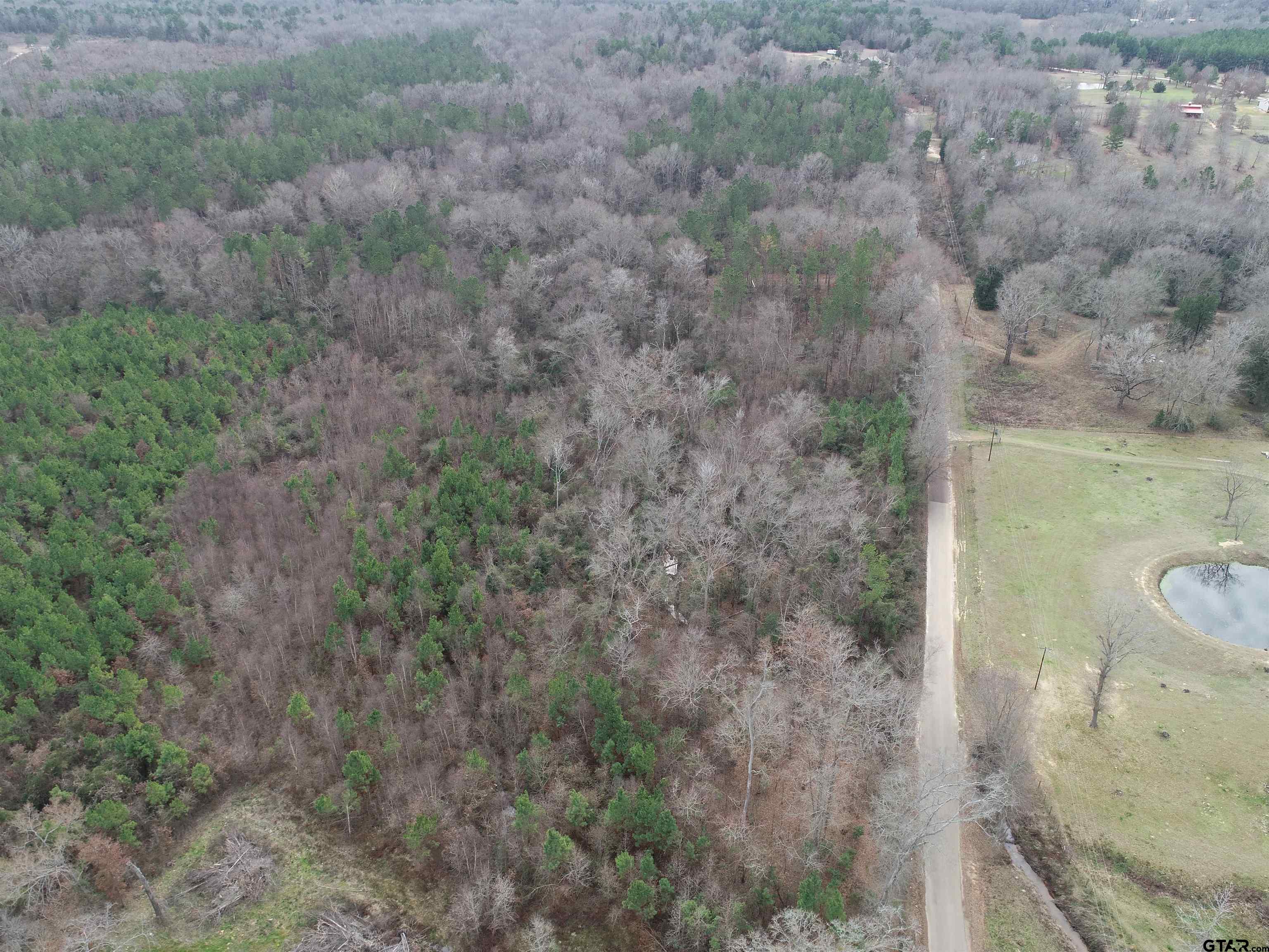 4557 Elderberry Road Gilmer, TX 75644 - Photo 8 of 38