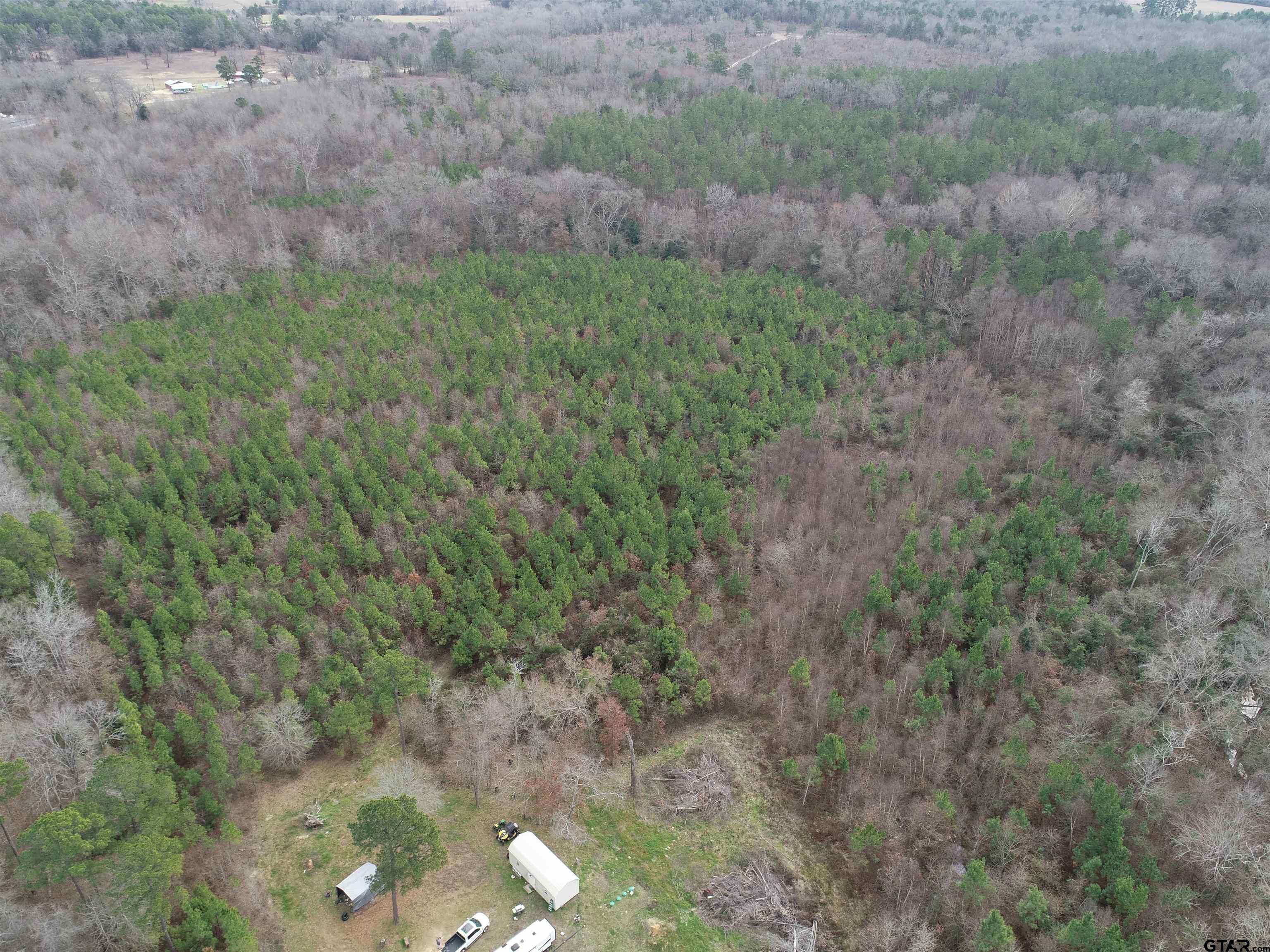 4557 Elderberry Road Gilmer, TX 75644 - Photo 9 of 38