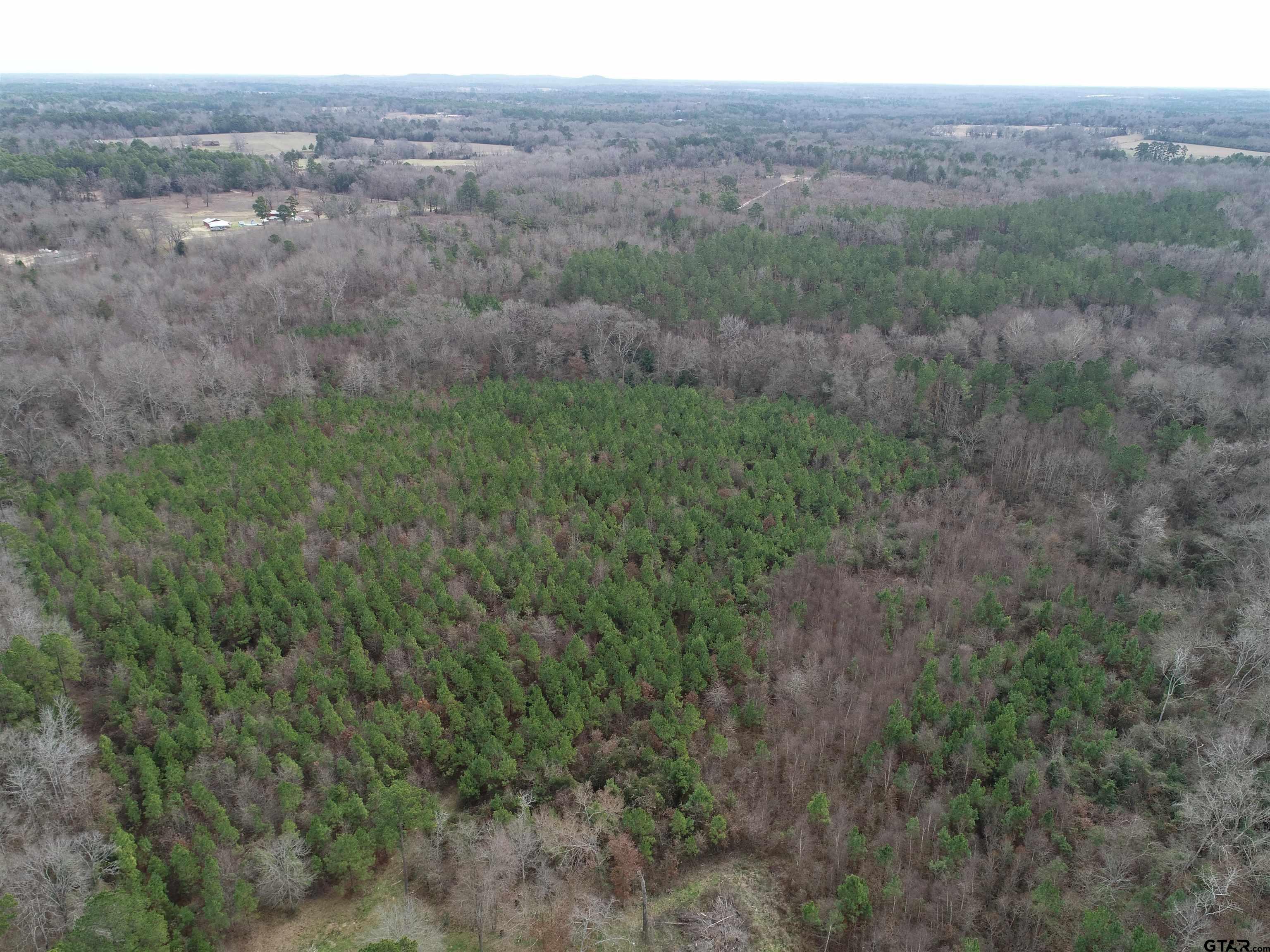 4557 Elderberry Road Gilmer, TX 75644 - Photo 10 of 38