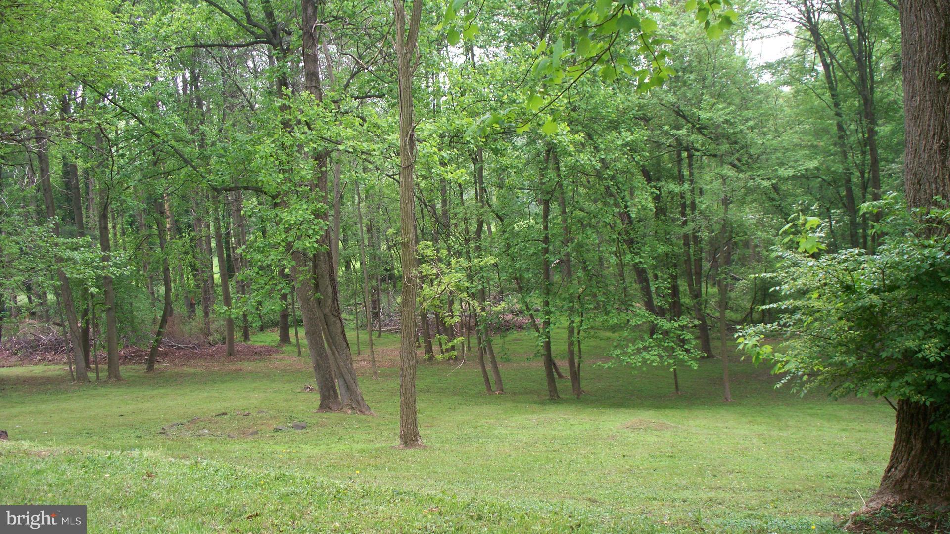 416 Whitaker Mill Road Fallston, MD 21047 - Photo 5 of 21 Rear Yard