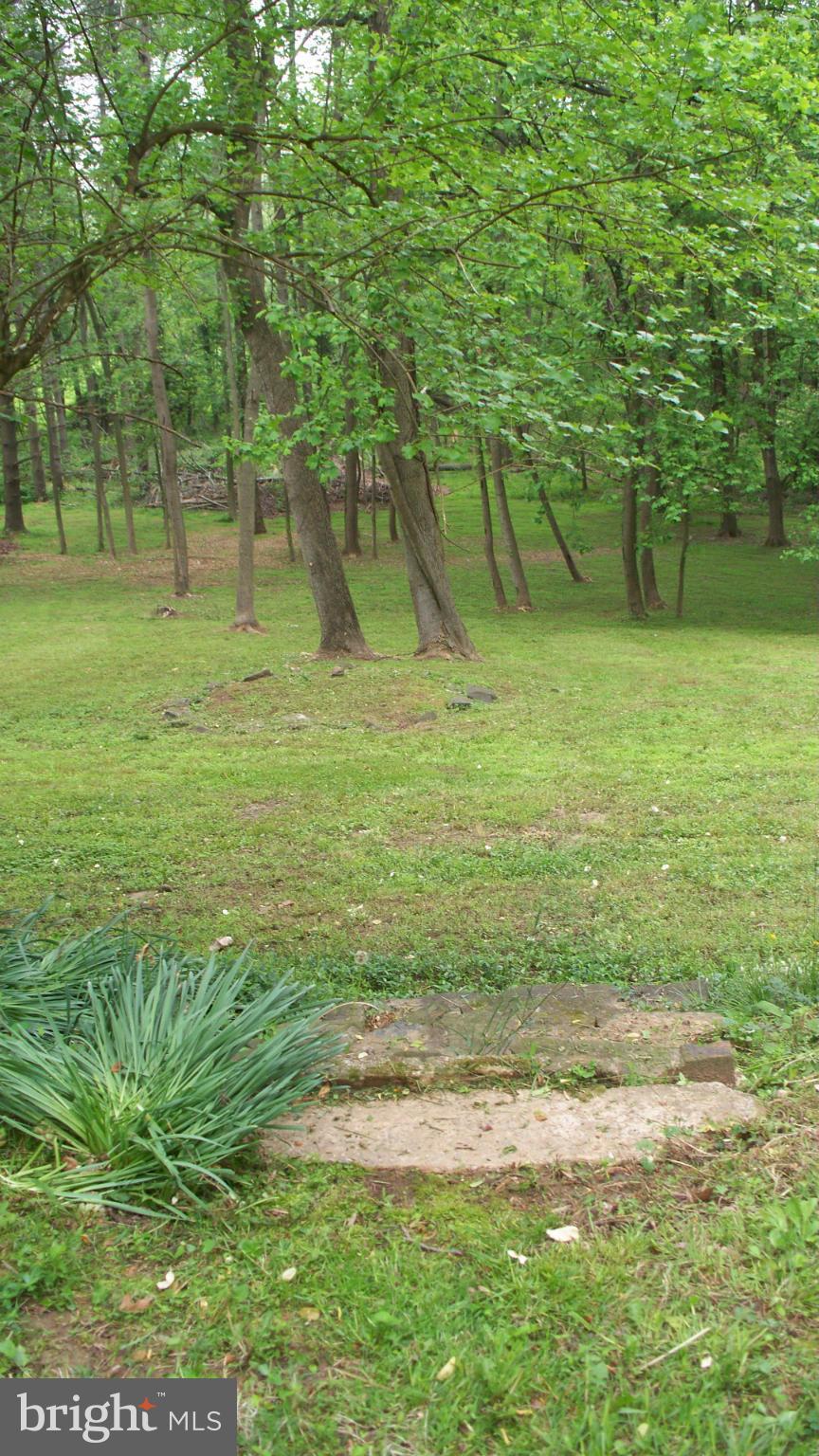 416 Whitaker Mill Road Fallston, MD 21047 - Photo 6 of 21 Rear Yard