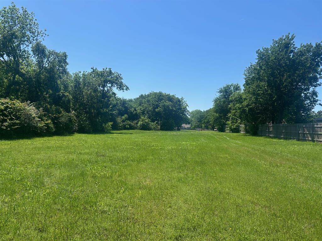 415 East Burks Street Pilot Point, TX 76258 - Photo 2 of 13