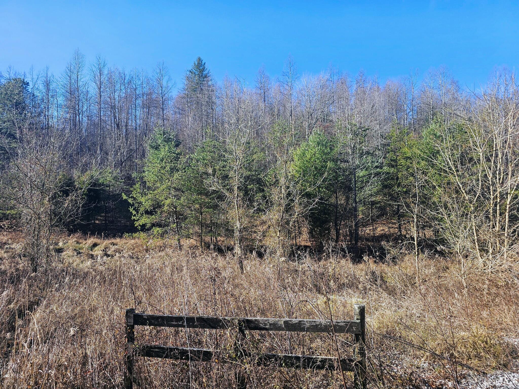 9999 Old State Road Wellington, KY 40387 - Photo 1 of 14 Frenchburg 07