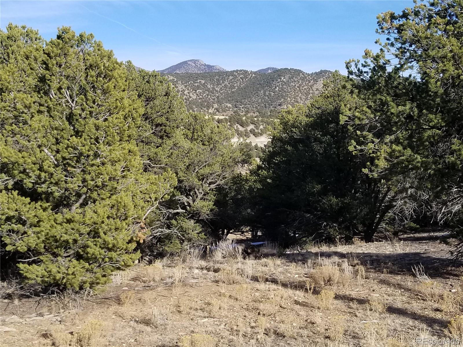 10765 Sawatch Range Road Salida, CO 81201 - Photo 35 of 36 a view of a dry yard with trees