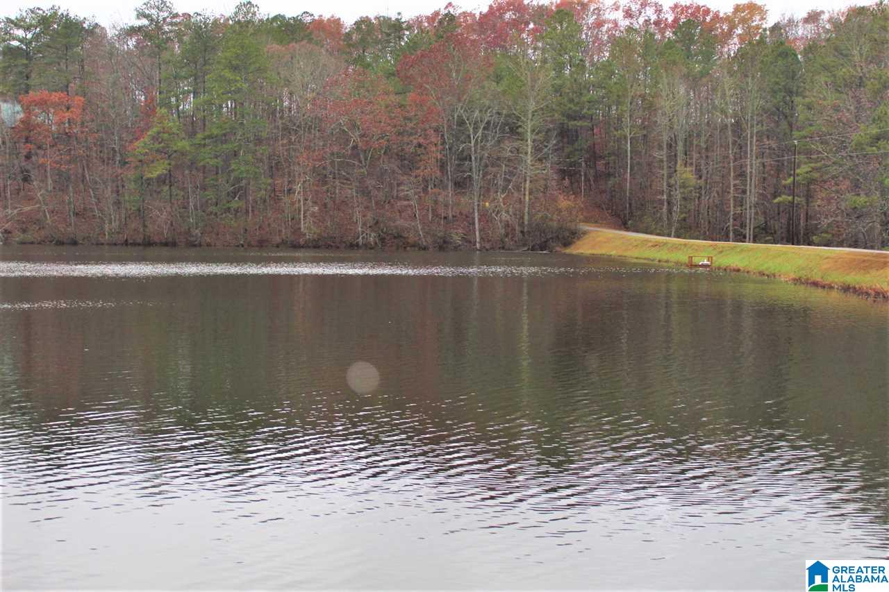 0 County Road 921, Unit 2 Delta, AL 36258 - Photo 3 of 17