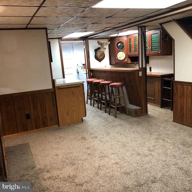 728 Bethnal Road Baltimore, MD 21229 - Photo 14 of 40 Finished Lower Level w Bar!