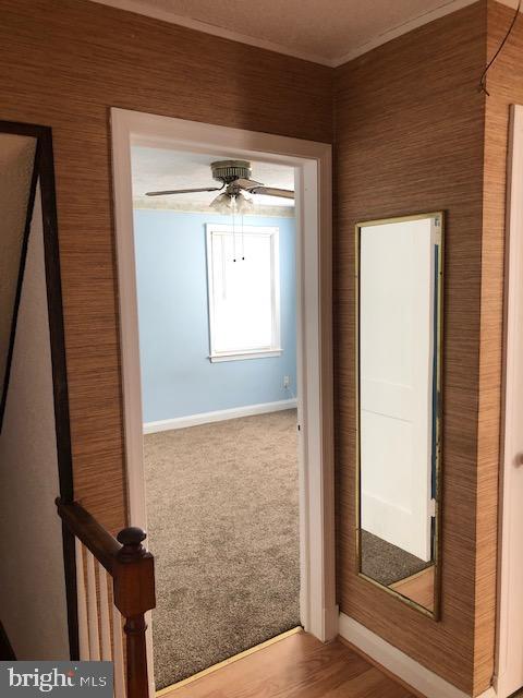 728 Bethnal Road Baltimore, MD 21229 - Photo 31 of 40