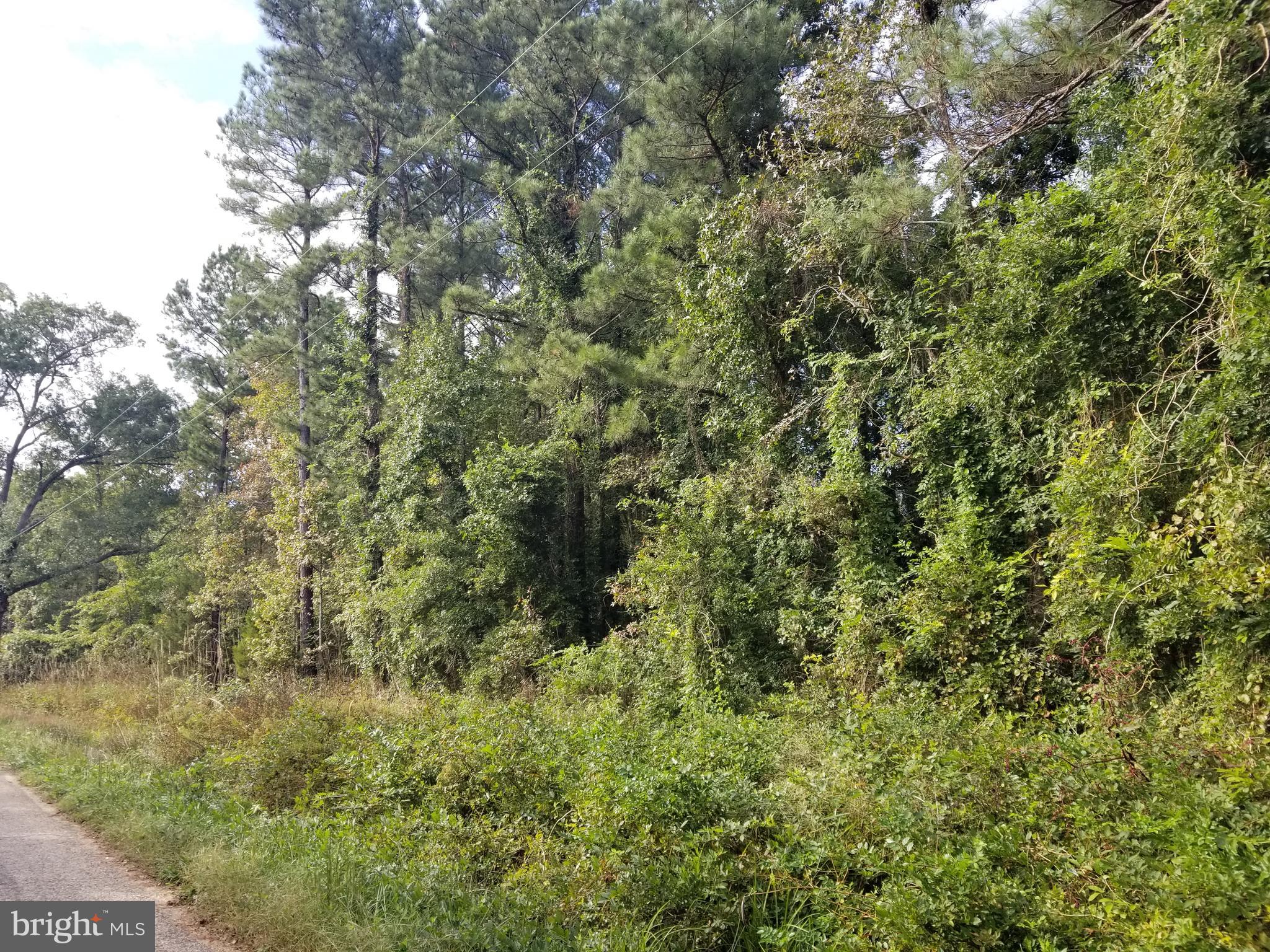 Lot 52 New Monrovia Road Colonial Beach, VA 22443 - Photo 3 of 3 Gallery Image 3