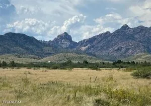 $7,000 | Tbd West Tbd W Quail Pass Drive, Unit 5, Pearce, AZ 85625