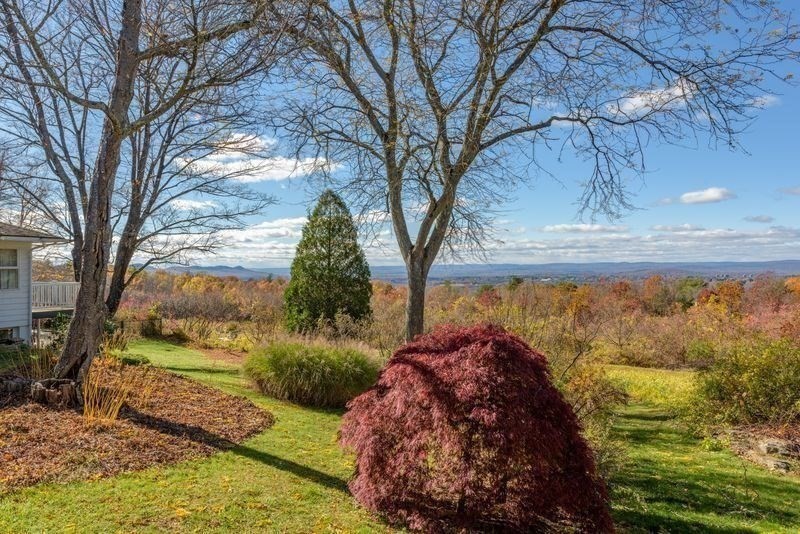 41 Arnold Road Pelham, MA 01002 - Photo 5 of 42 a view of a yard with plants and large trees