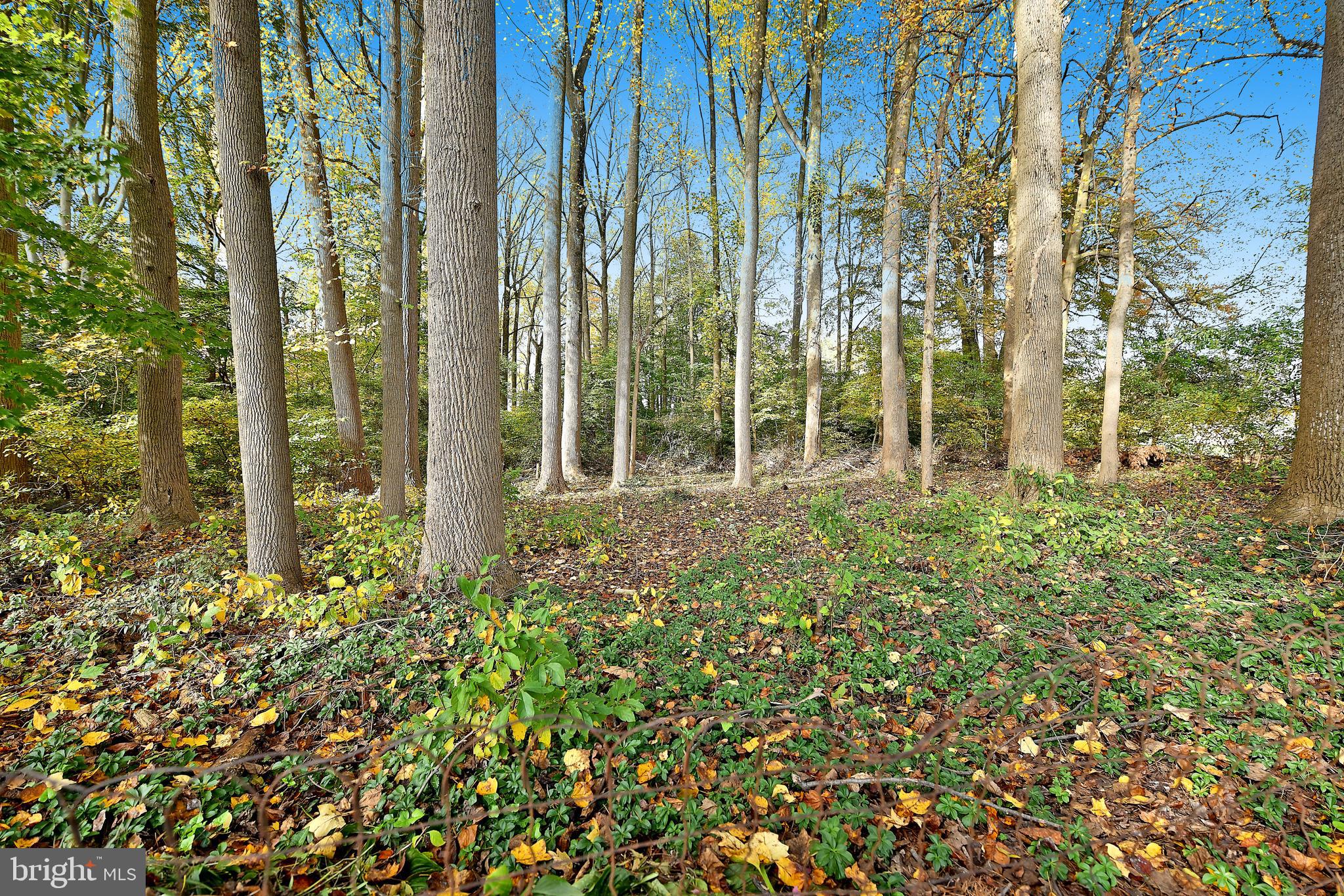 108 West Belcrest Road Bel Air, MD 21014 - Photo 40 of 42 Rear