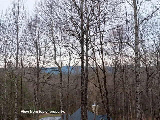 $65,000 | 214 East Chimney Crossing, Unit 92, Hendersonville, NC 28739