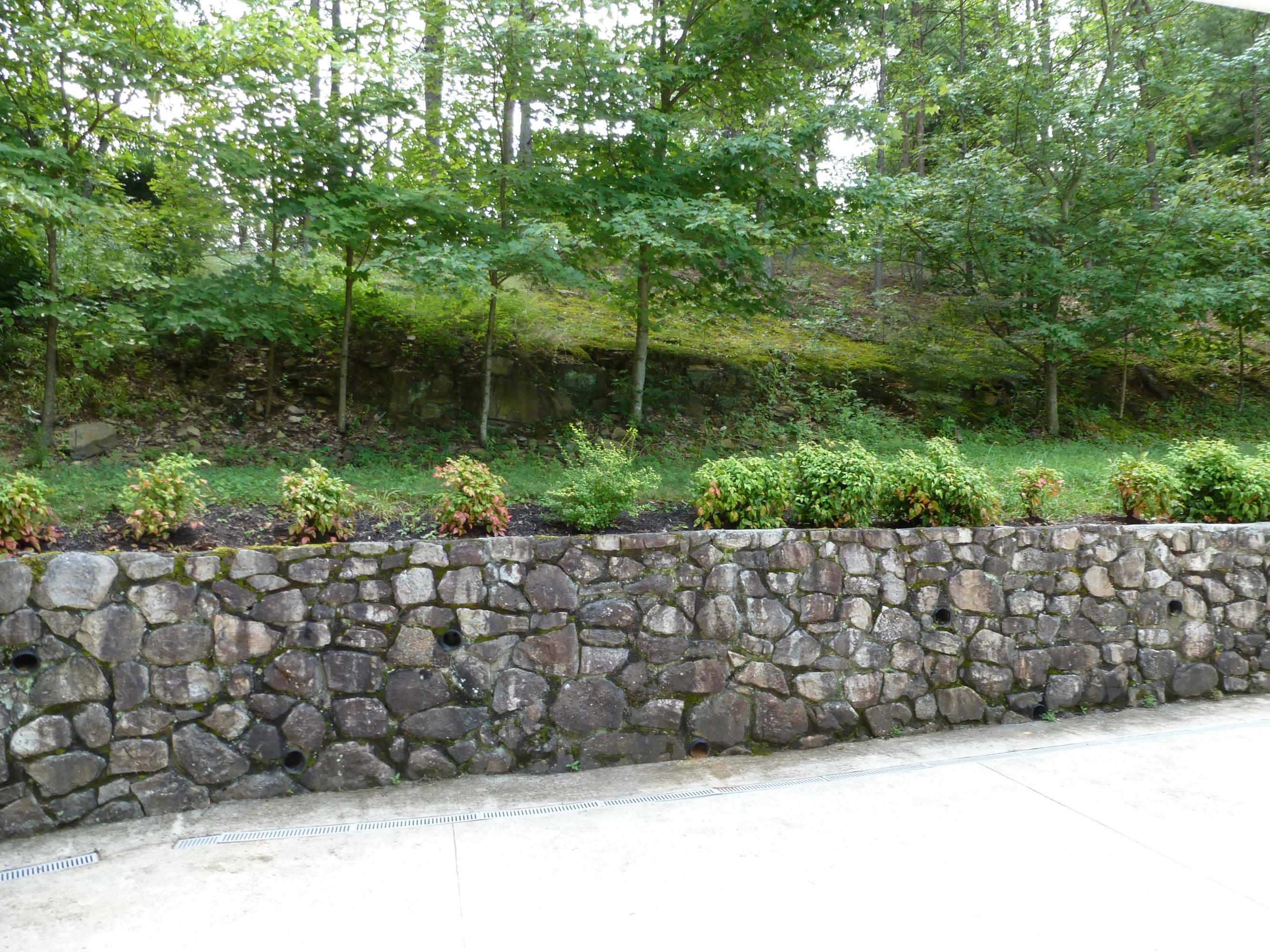 5114 Castle Rock Road Roanoke, VA 24018 - Photo 19 of 22 P1010020