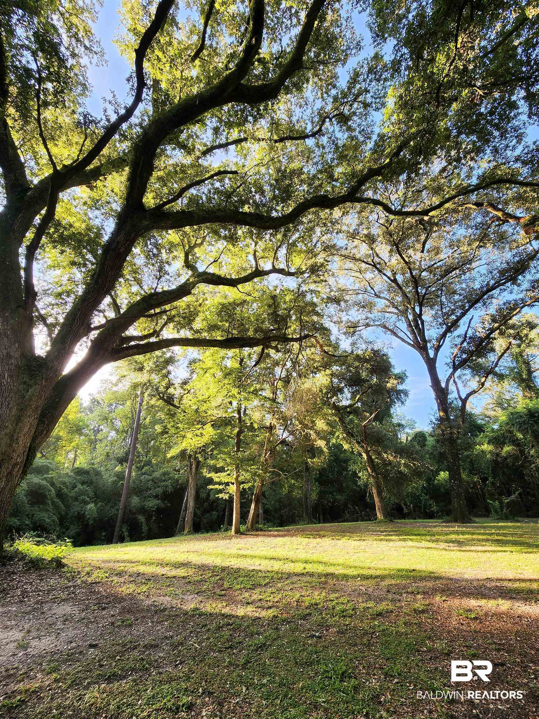 30858 Cemetery Road Daphne, AL 36527 - Photo 41 of 49