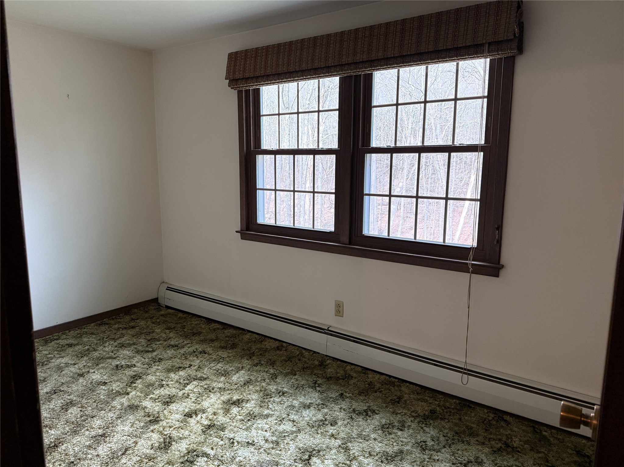 284 Ridgefield Road Endicott, NY 13760 - Photo 23 of 50