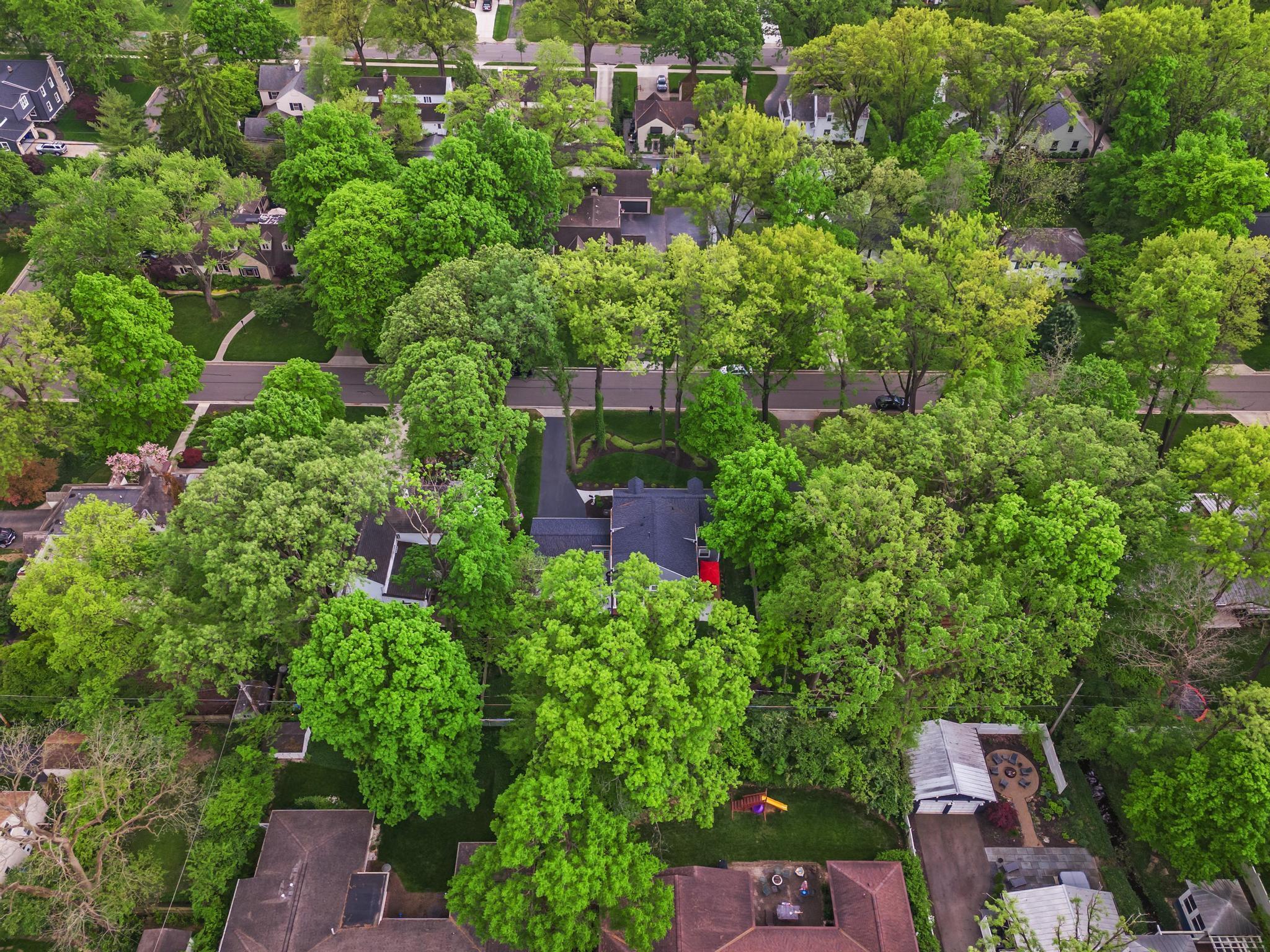 2318 Dorset Road Columbus, OH 43221 - Photo 5 of 45 DJI_20240503160329_0875_D