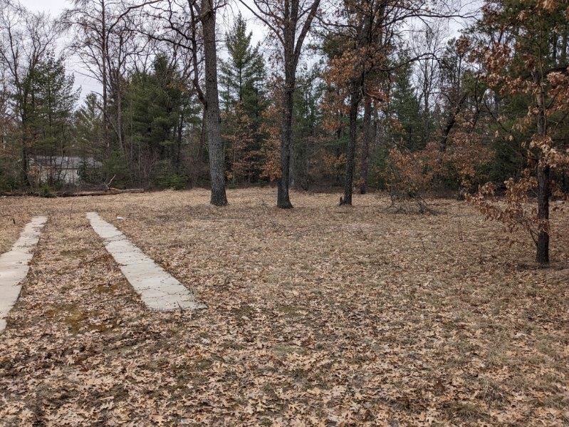 V/l Rollway Road South Branch, MI 48761 - Photo 1 of 6