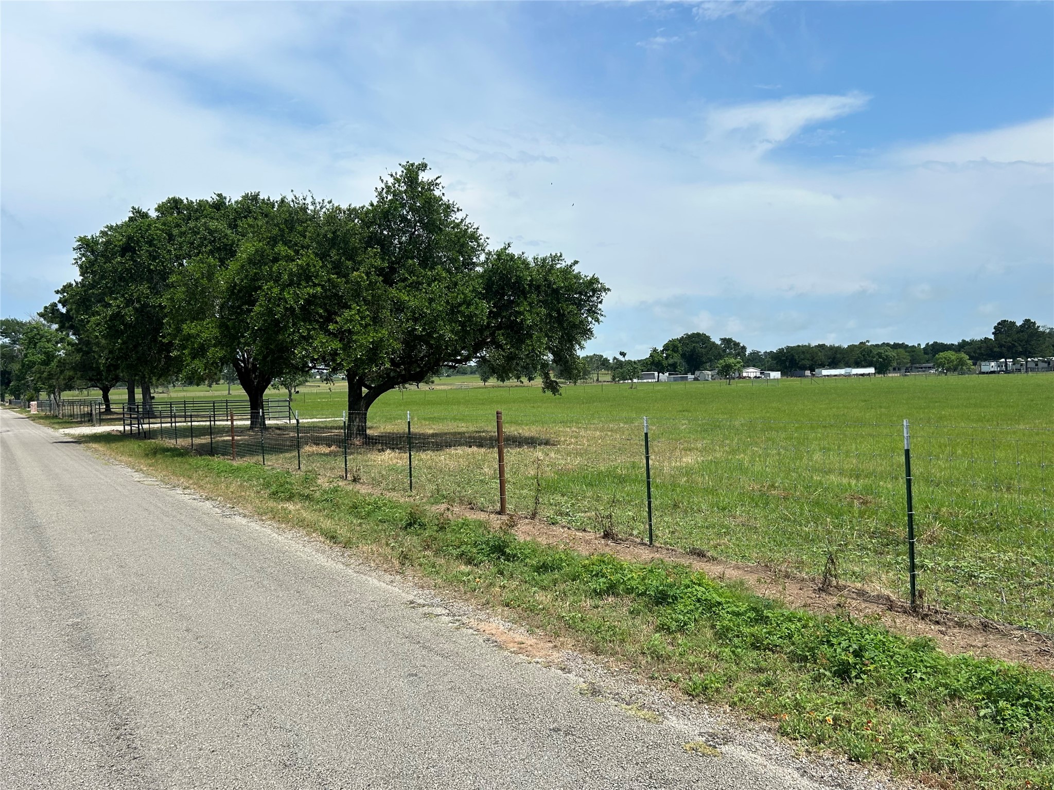 38785 Wiggins Road Hempstead, TX 77445 - Photo 11 of 28 a view of a park with large trees