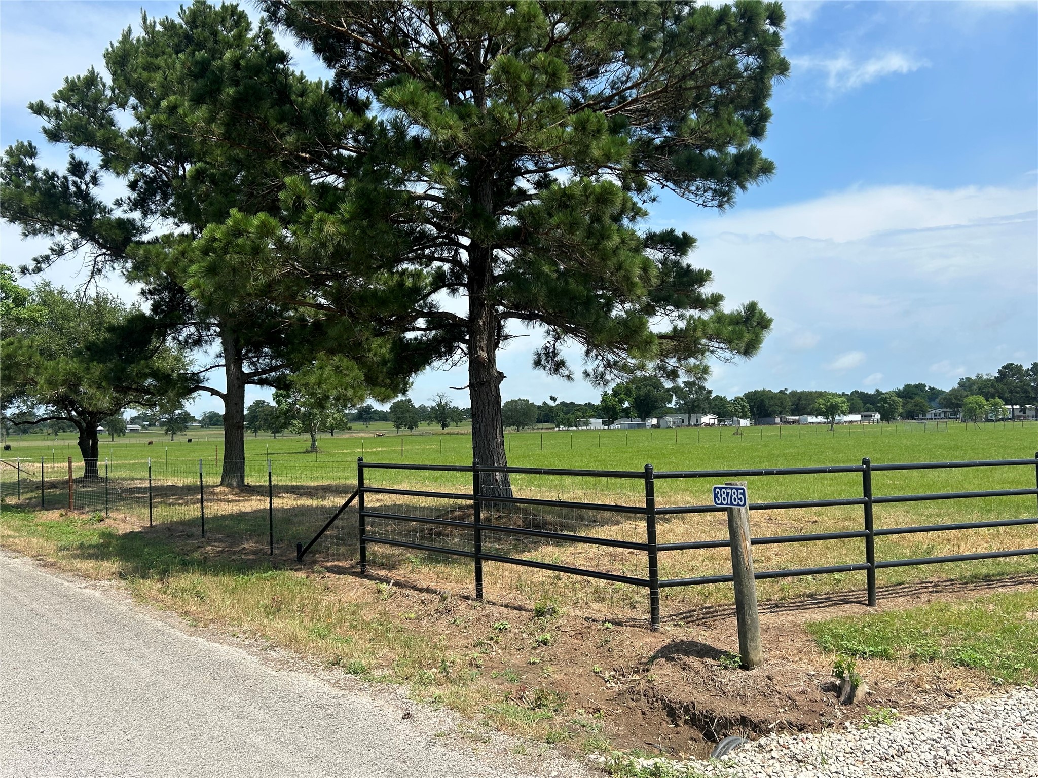 38785 Wiggins Road Hempstead, TX 77445 - Photo 12 of 28 a view of a bench in a park