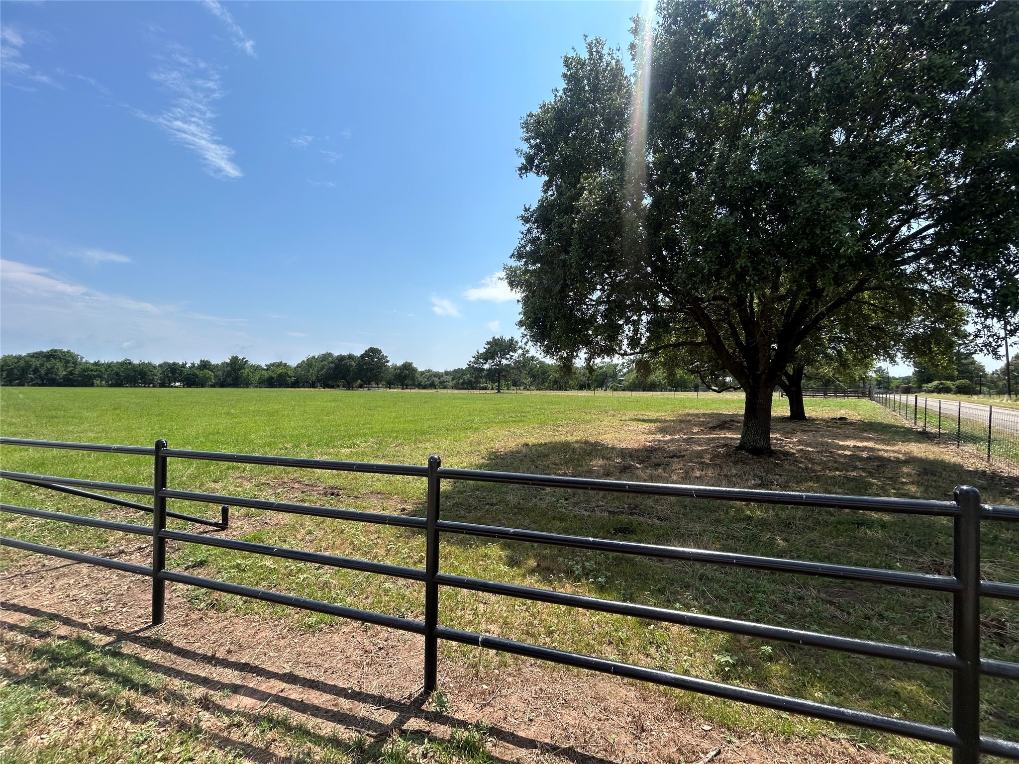 38785 Wiggins Road Hempstead, TX 77445 - Photo 14 of 28 a view of a yard with wooden fence and trees