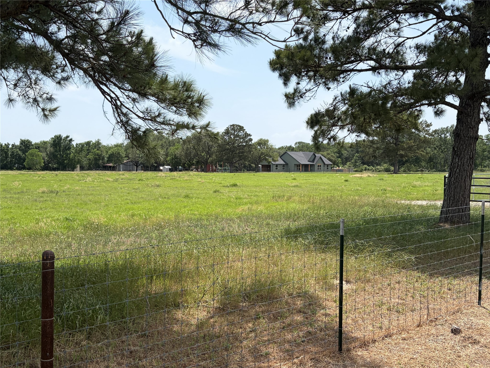 38785 Wiggins Road Hempstead, TX 77445 - Photo 17 of 28 a view of a lake from a yard