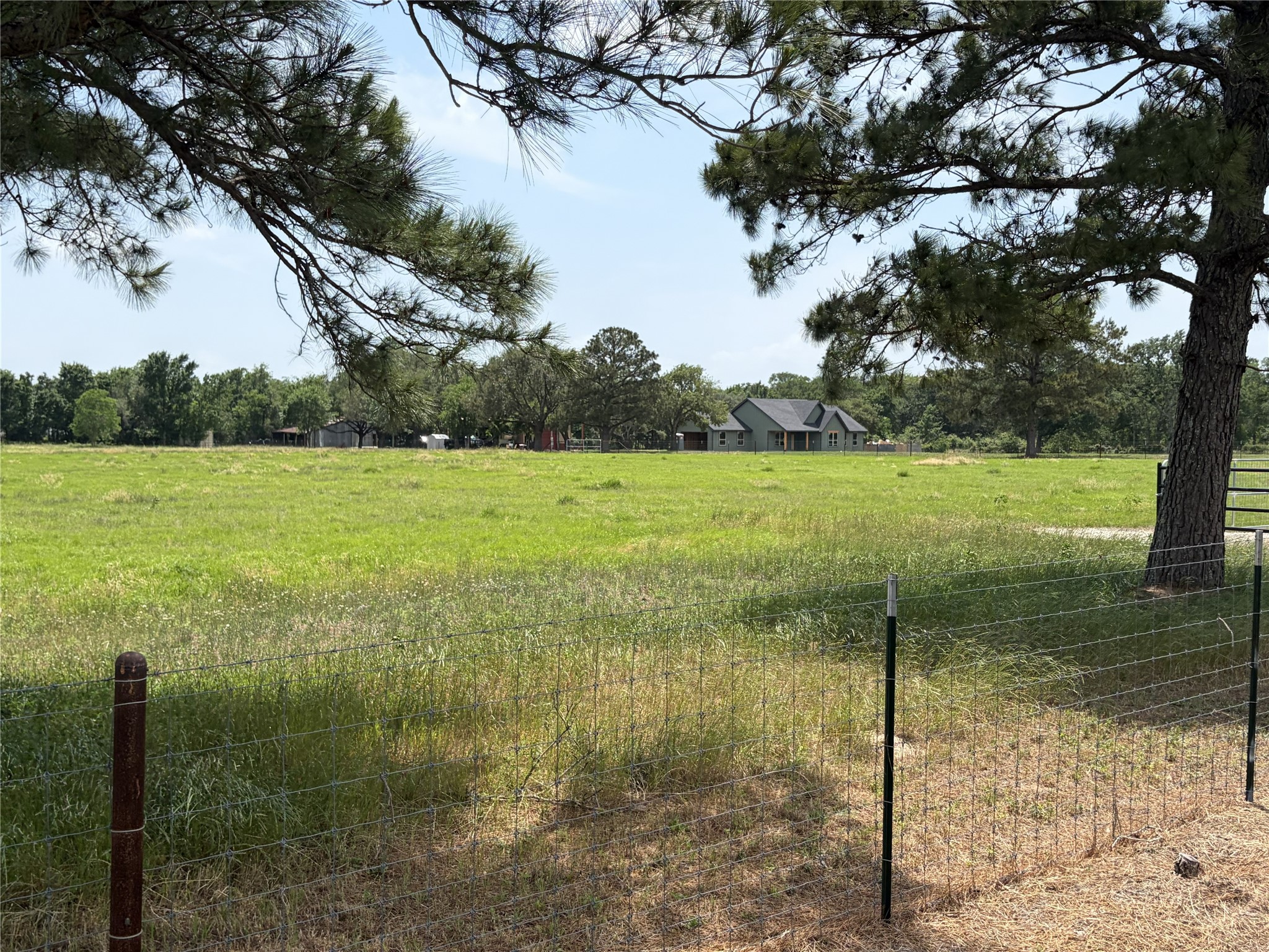 38785 Wiggins Road Hempstead, TX 77445 - Photo 18 of 28 a view of a lake from a yard