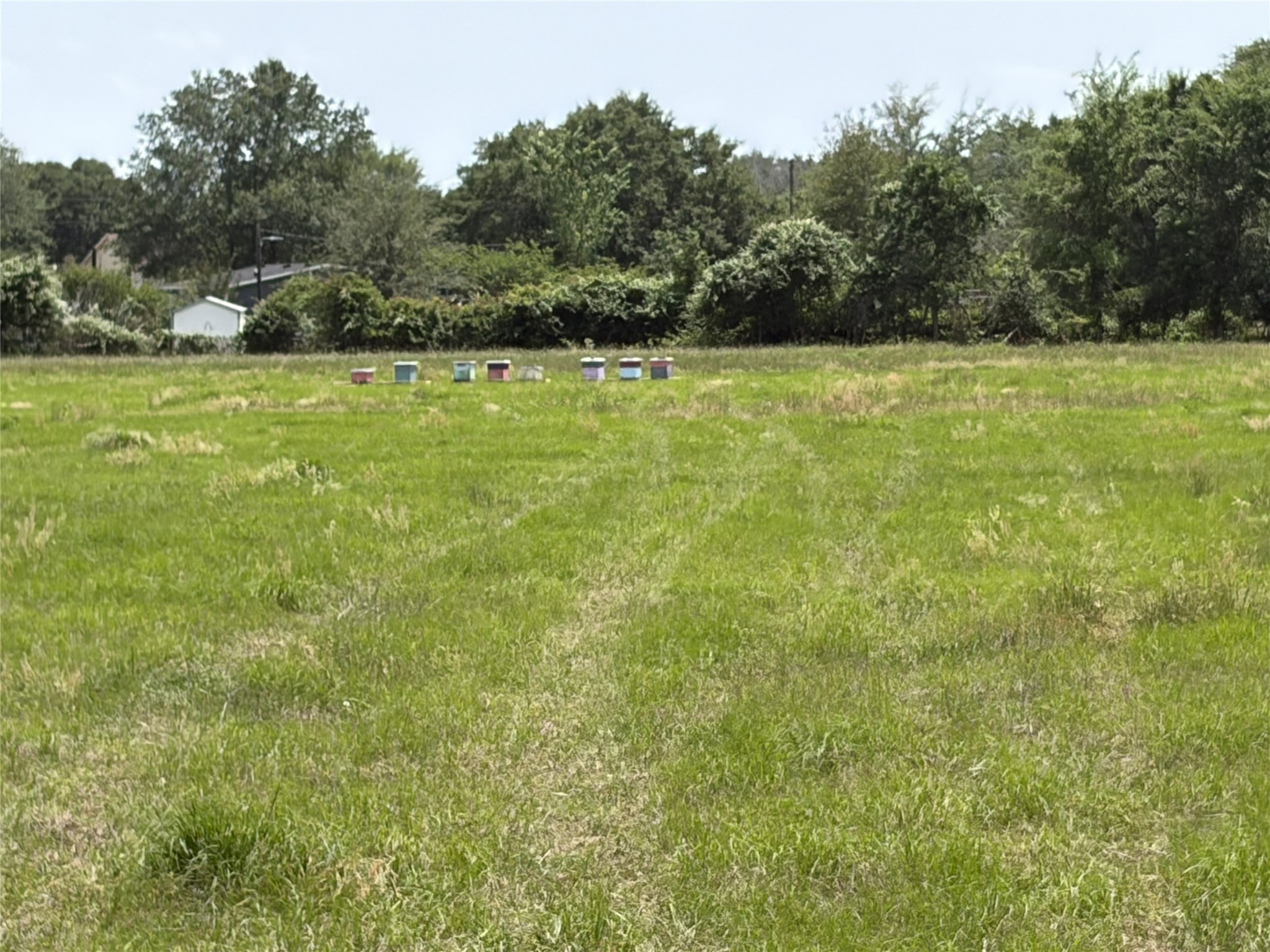 38785 Wiggins Road Hempstead, TX 77445 - Photo 21 of 28 a view of a field with an outdoor space
