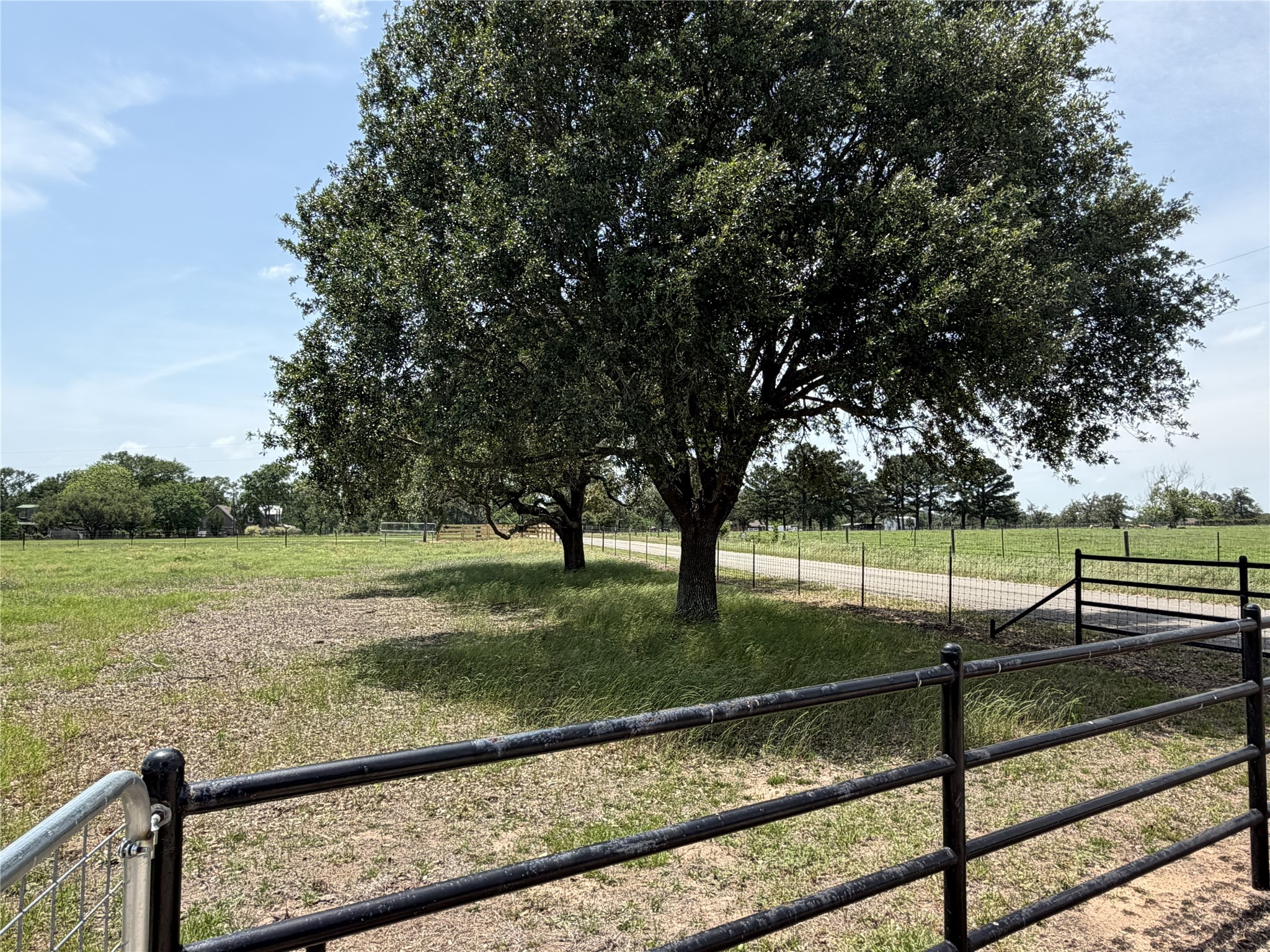 38785 Wiggins Road Hempstead, TX 77445 - Photo 23 of 28 a view of a backyard with lake view