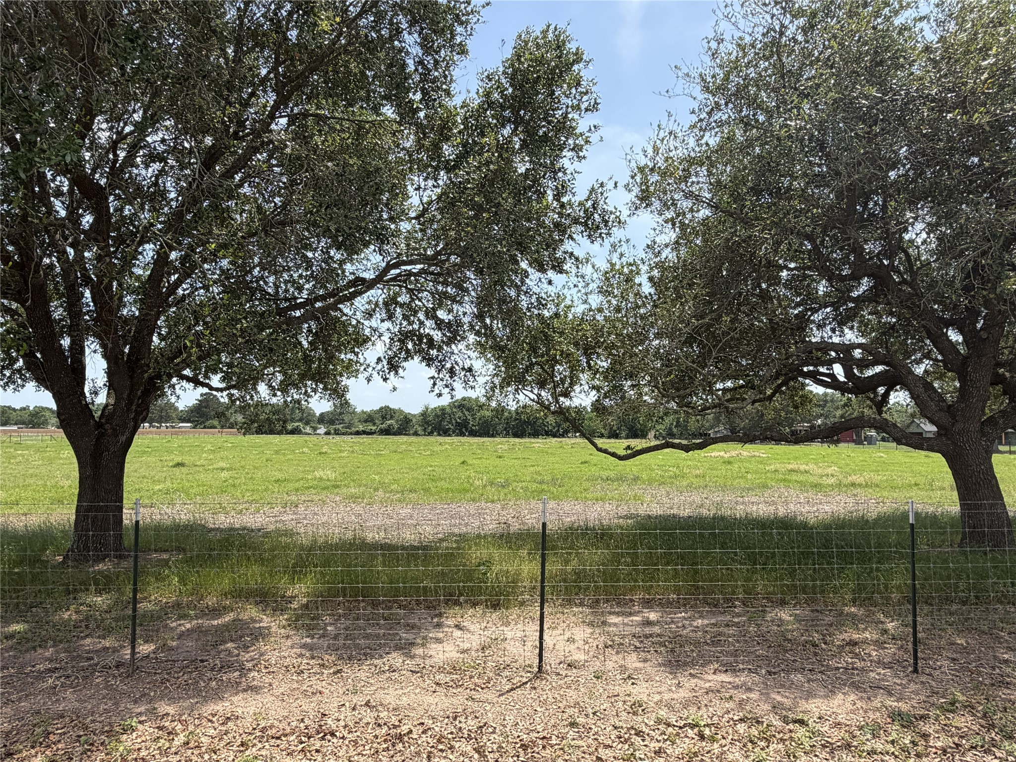 38785 Wiggins Road Hempstead, TX 77445 - Photo 25 of 28 a view of a lake with a yard