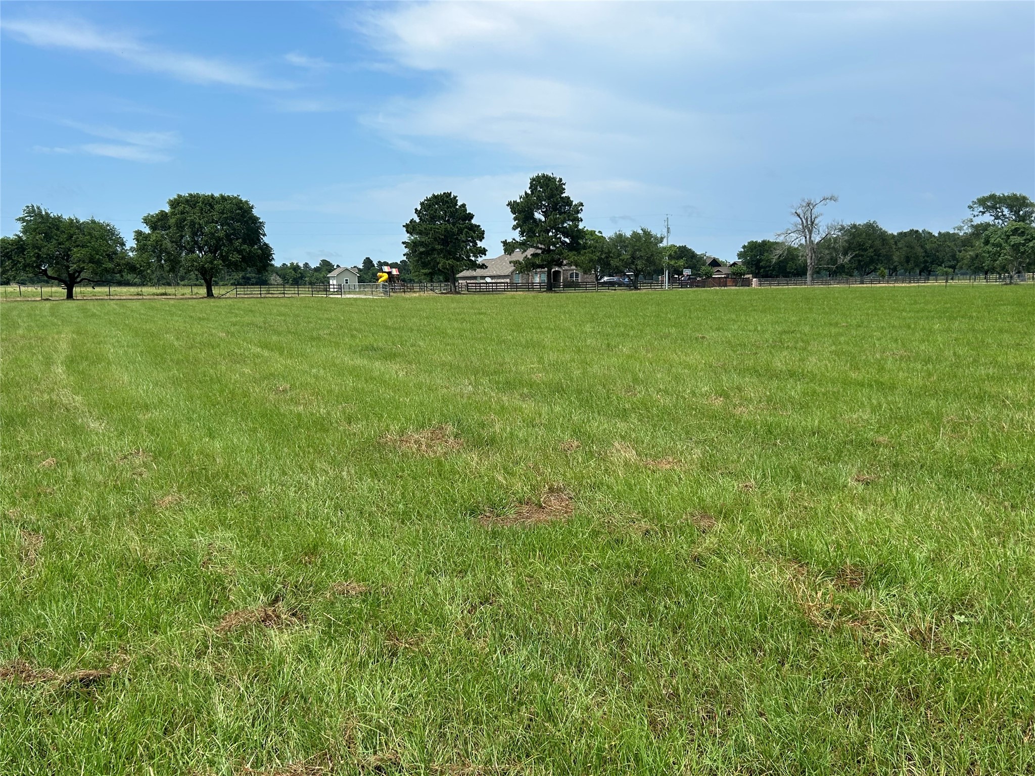 38785 Wiggins Road Hempstead, TX 77445 - Photo 4 of 28 a view of a grassy field with trees in the background