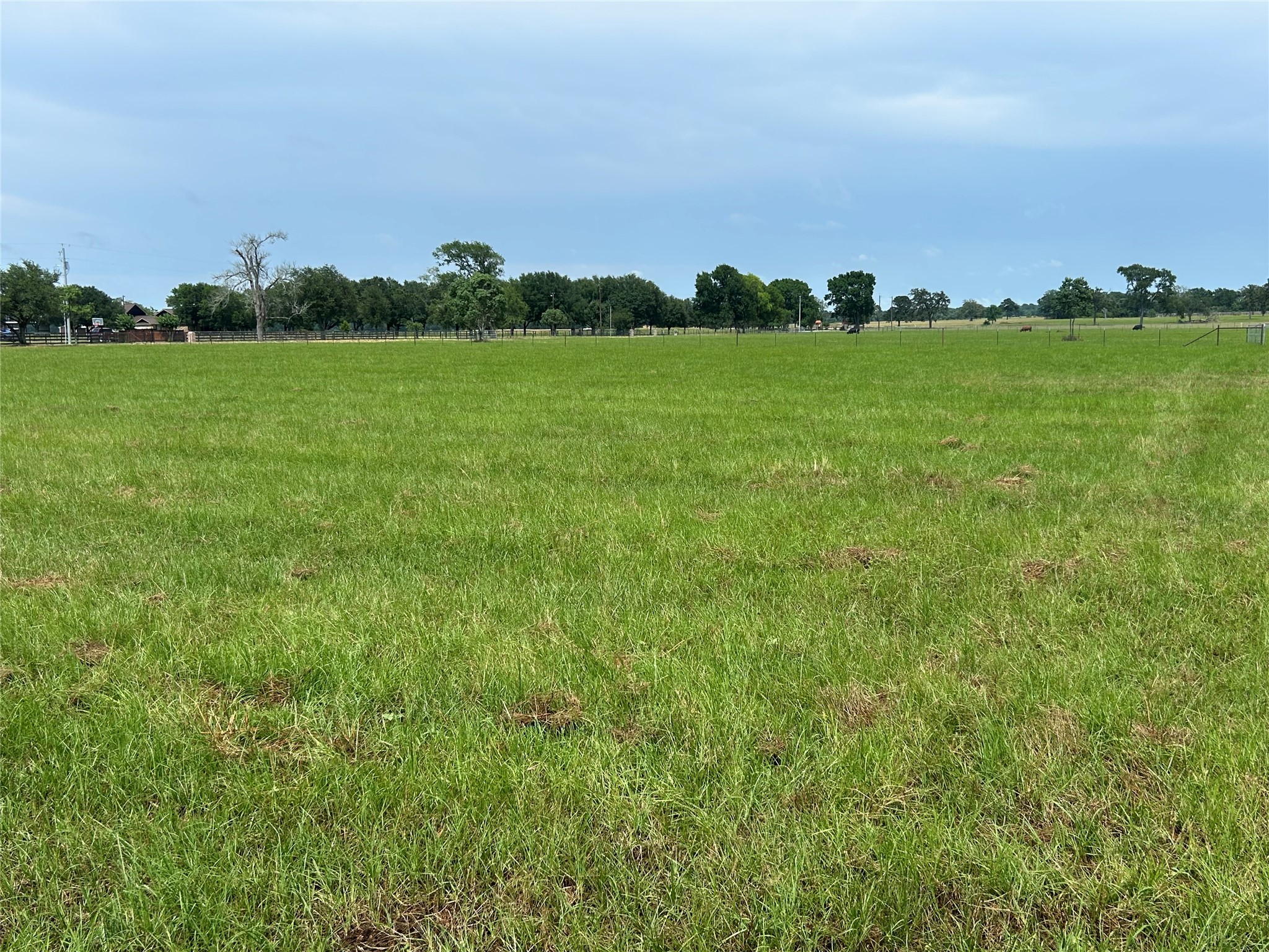 38785 Wiggins Road Hempstead, TX 77445 - Photo 5 of 28 a view of a grassy field with an trees