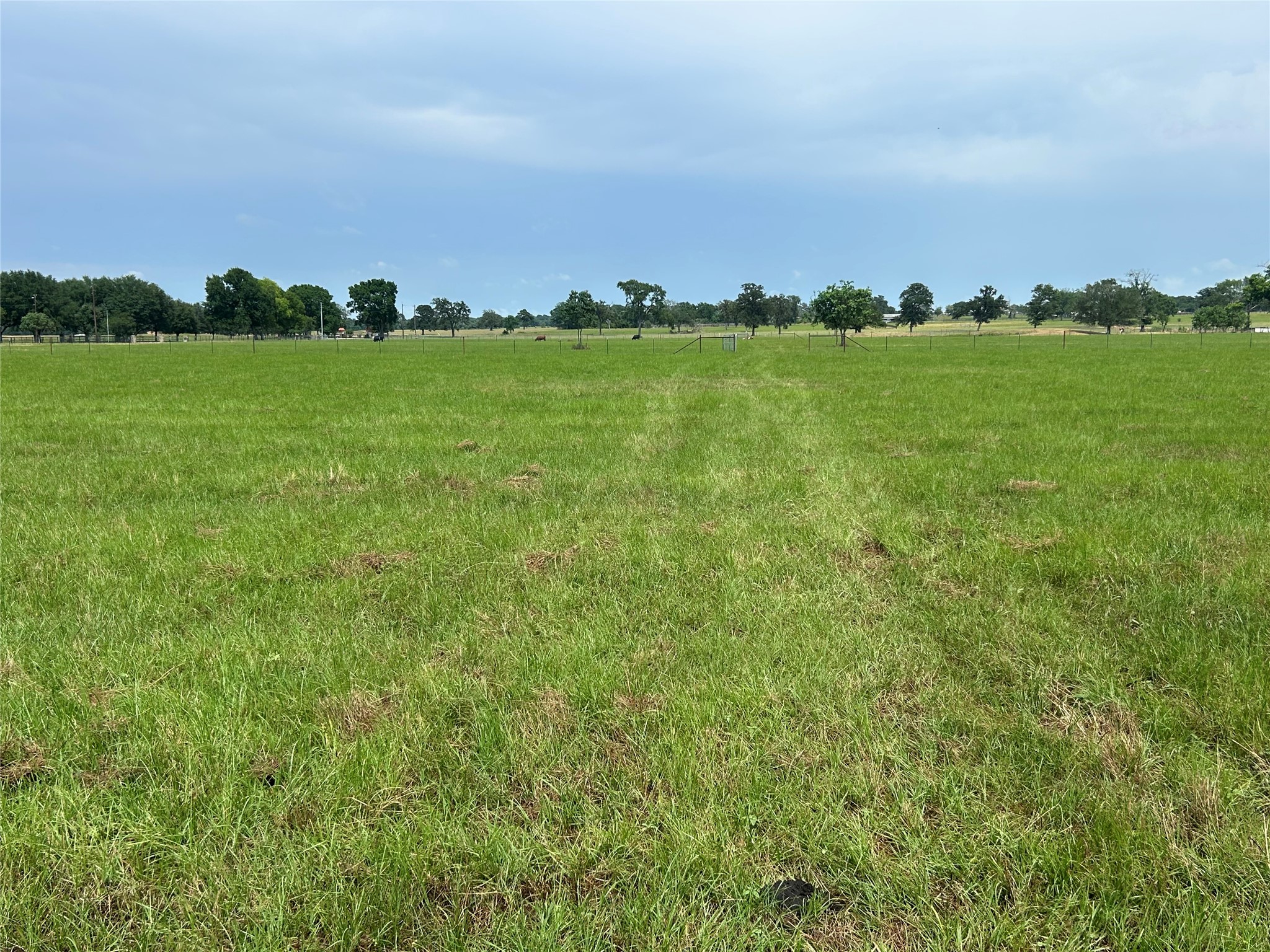 38785 Wiggins Road Hempstead, TX 77445 - Photo 6 of 28 a city view with tall trees