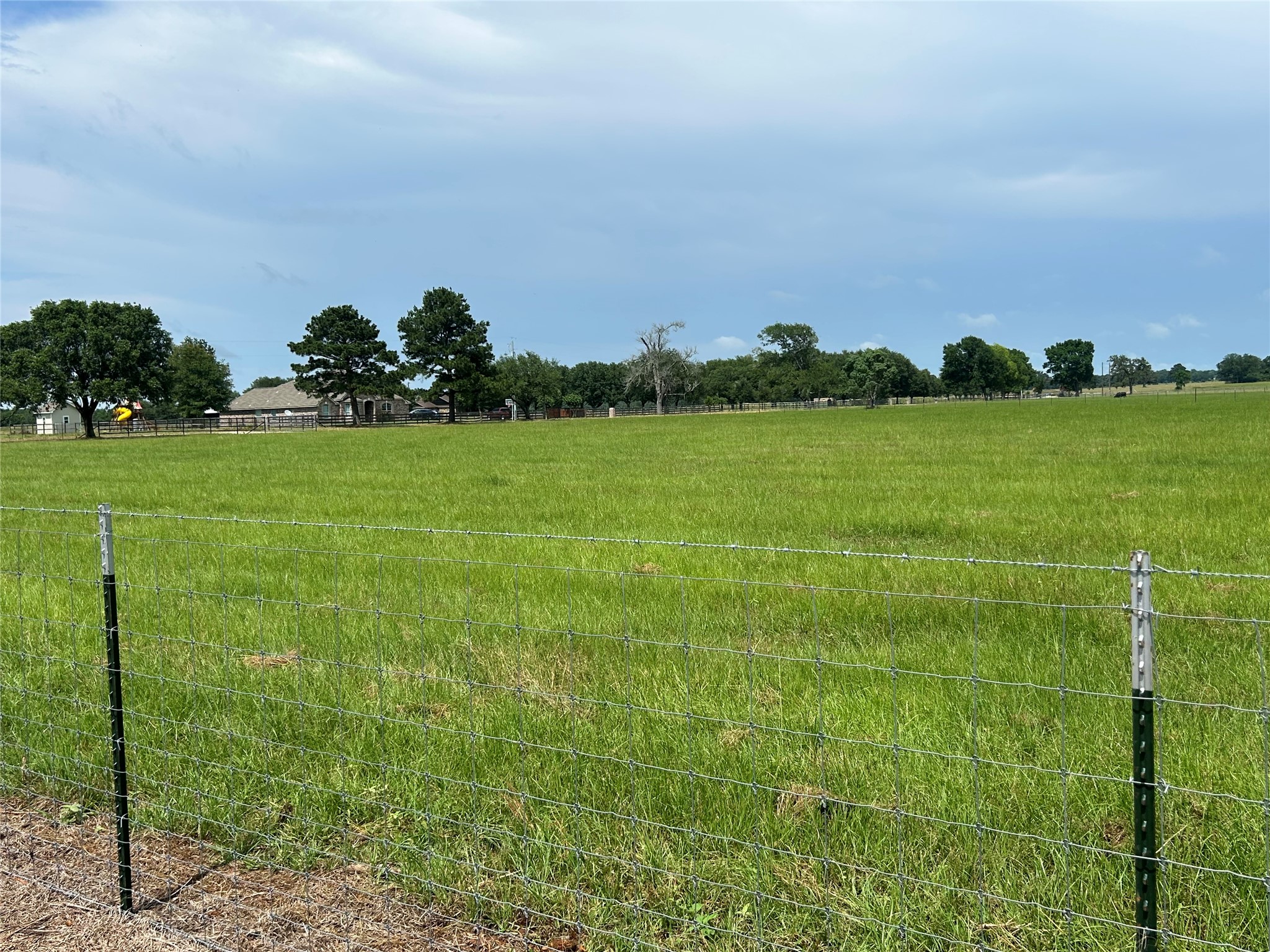 38785 Wiggins Road Hempstead, TX 77445 - Photo 7 of 28 a view of a field with an trees