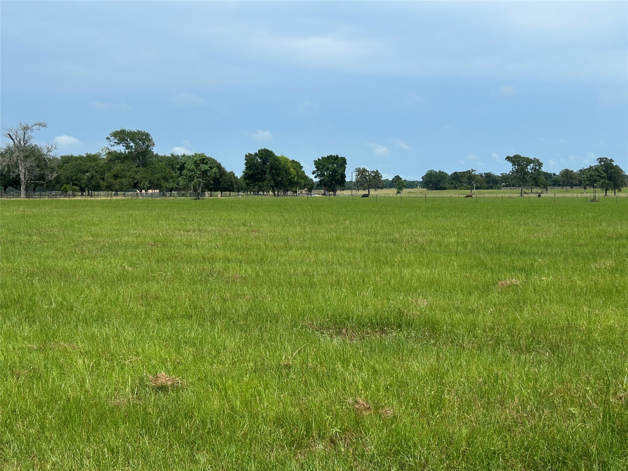 38785 Wiggins Road Hempstead, TX 77445 - Photo 8 of 28 a view of a field with lawn chairs and wooden fence