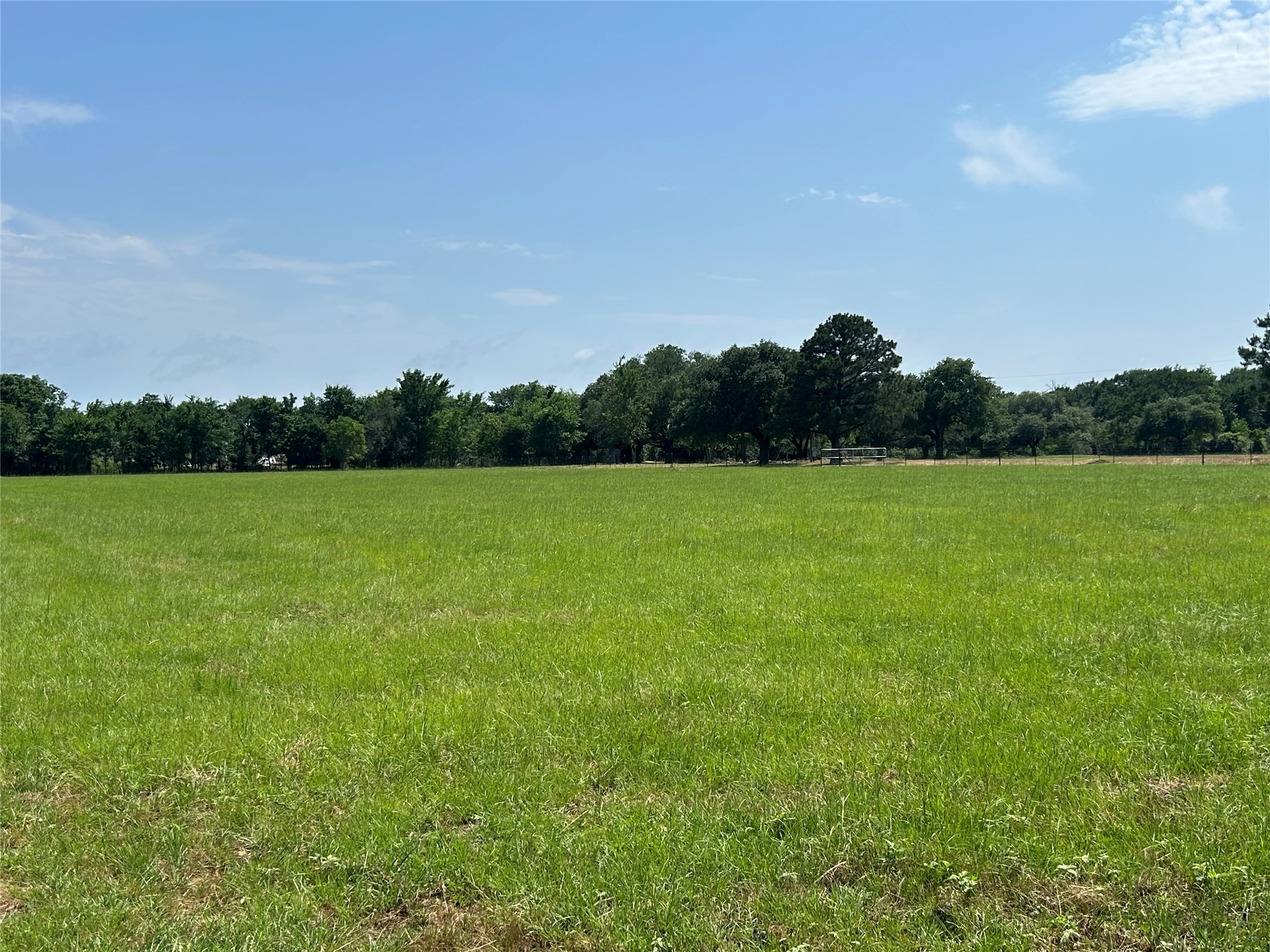 38785 Wiggins Road Hempstead, TX 77445 - Photo 9 of 28 a view of field with trees in the background