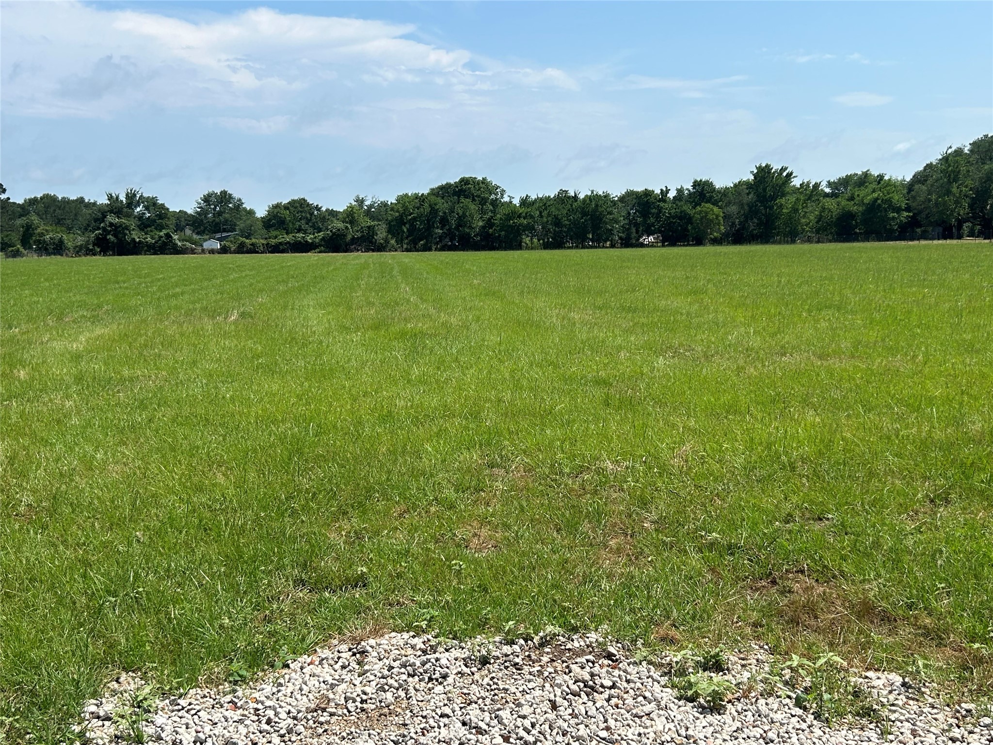 38785 Wiggins Road Hempstead, TX 77445 - Photo 10 of 28 a view of a green yard next to a yard